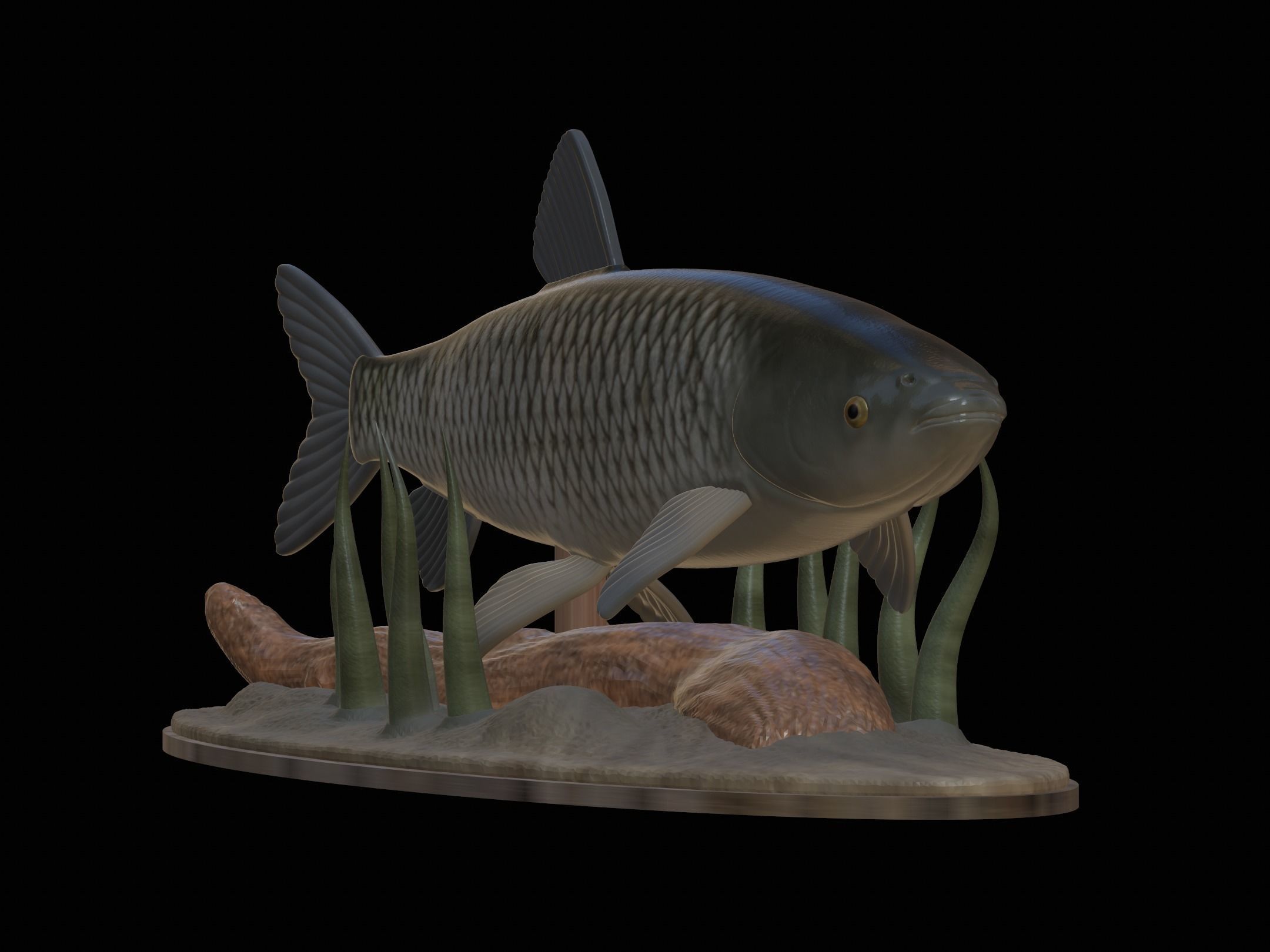 fish grass carp statue underwater detailed texture 3D print model_24