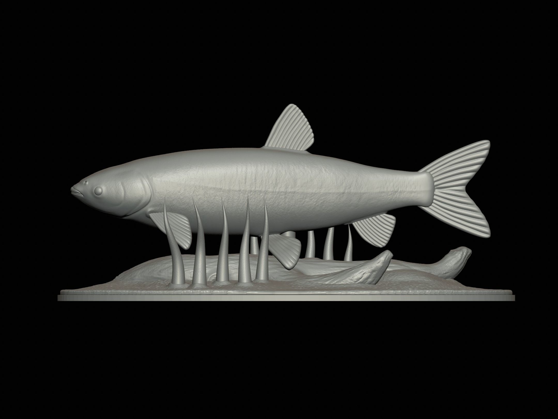 fish grass carp statue underwater detailed texture 3D print model_3