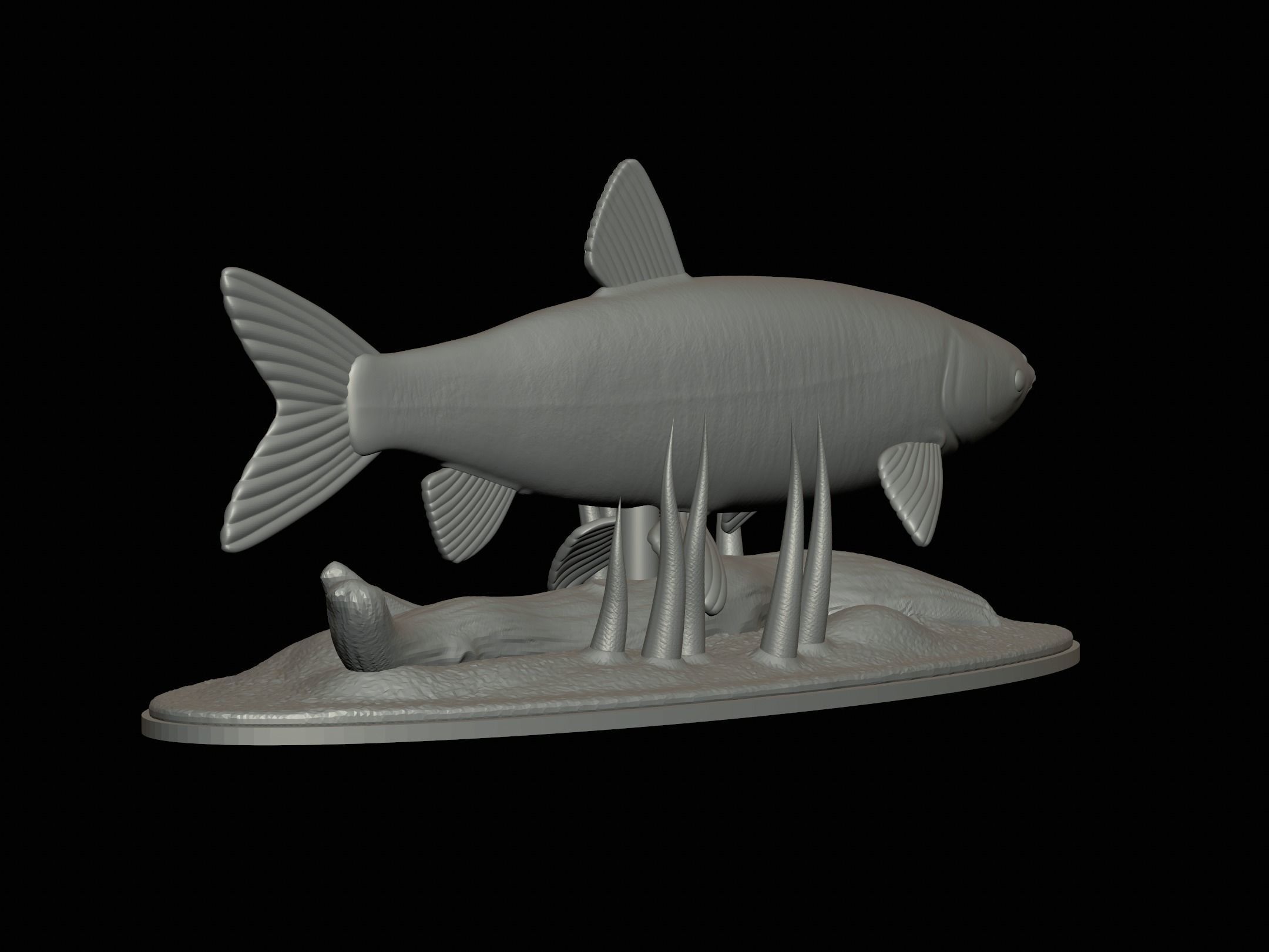 fish grass carp statue underwater detailed texture 3D print model_7