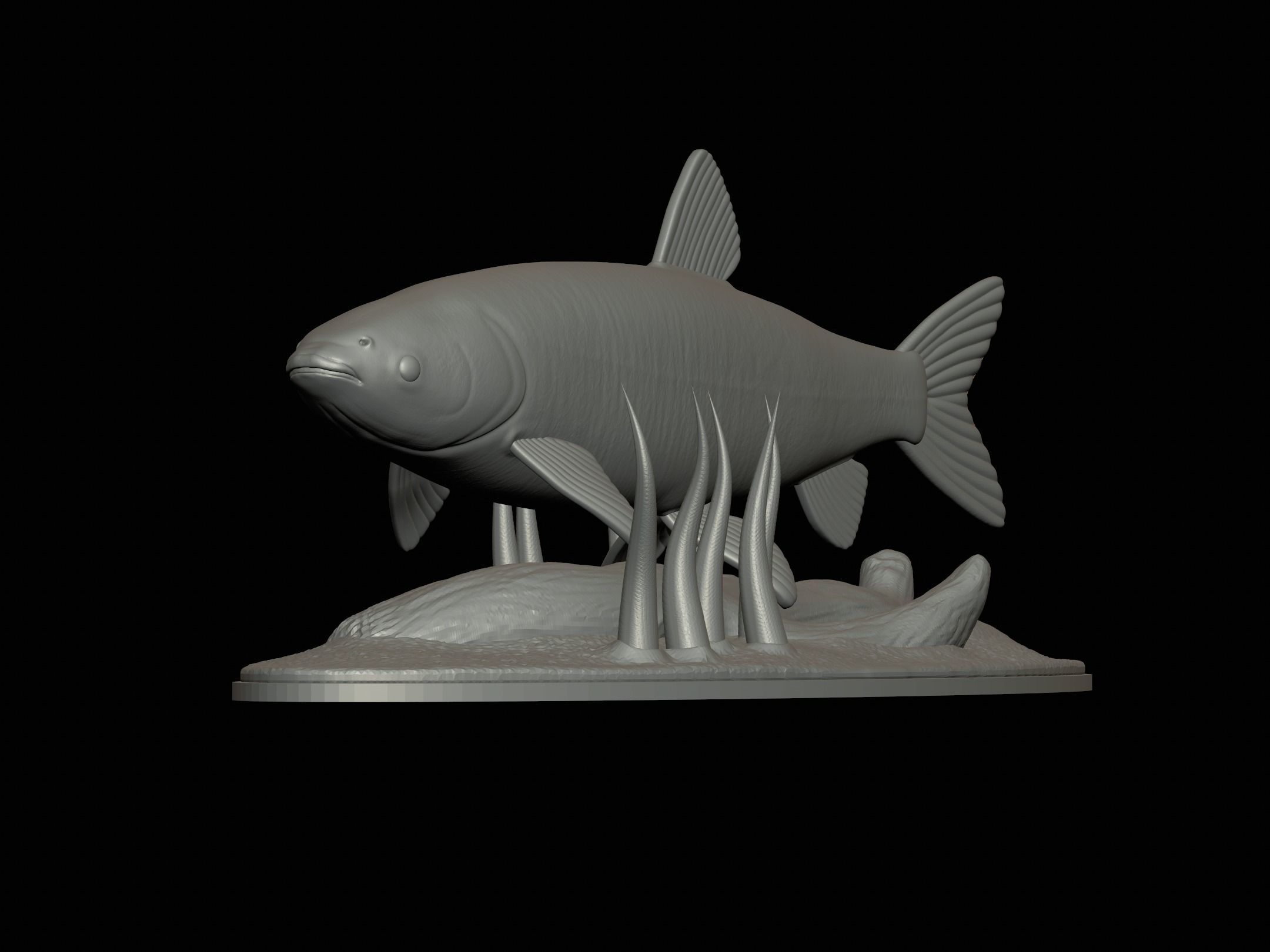 fish grass carp statue underwater detailed texture 3D print model_13