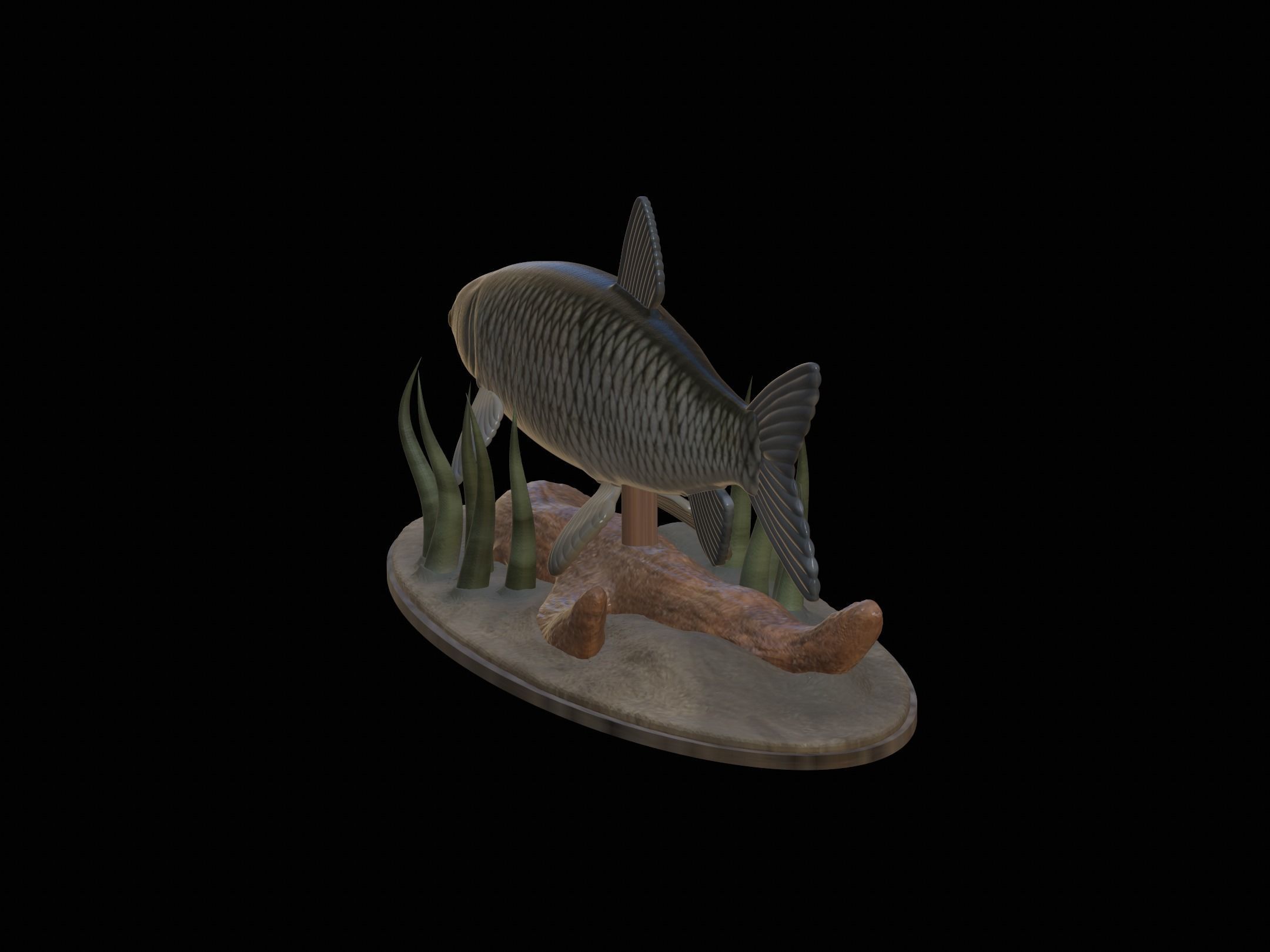 fish grass carp statue underwater detailed texture 3D print model_19