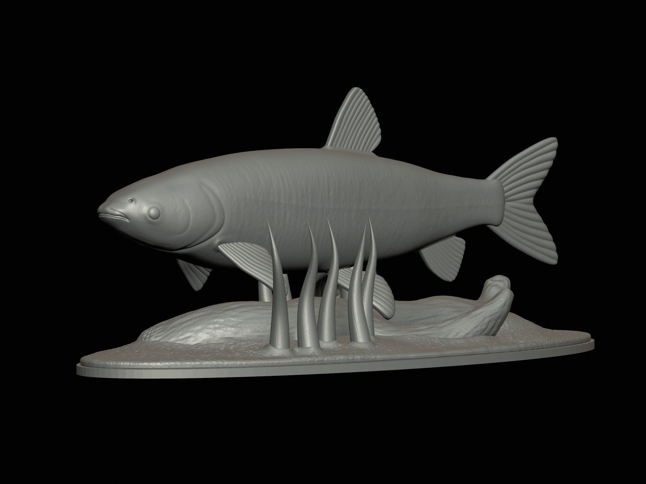 fish grass carp statue underwater detailed texture 3D print model_1