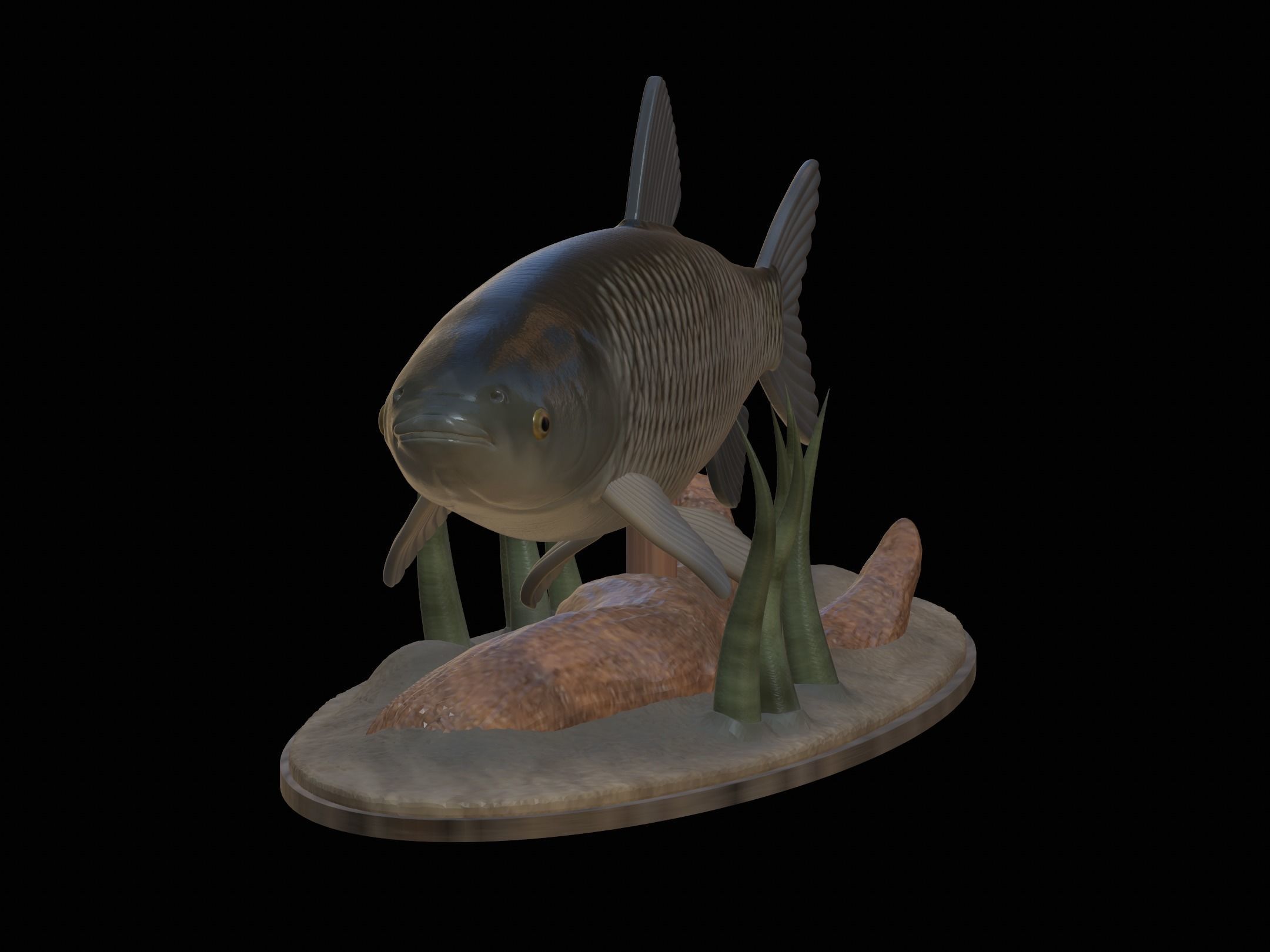 fish grass carp statue underwater detailed texture 3D print model_2