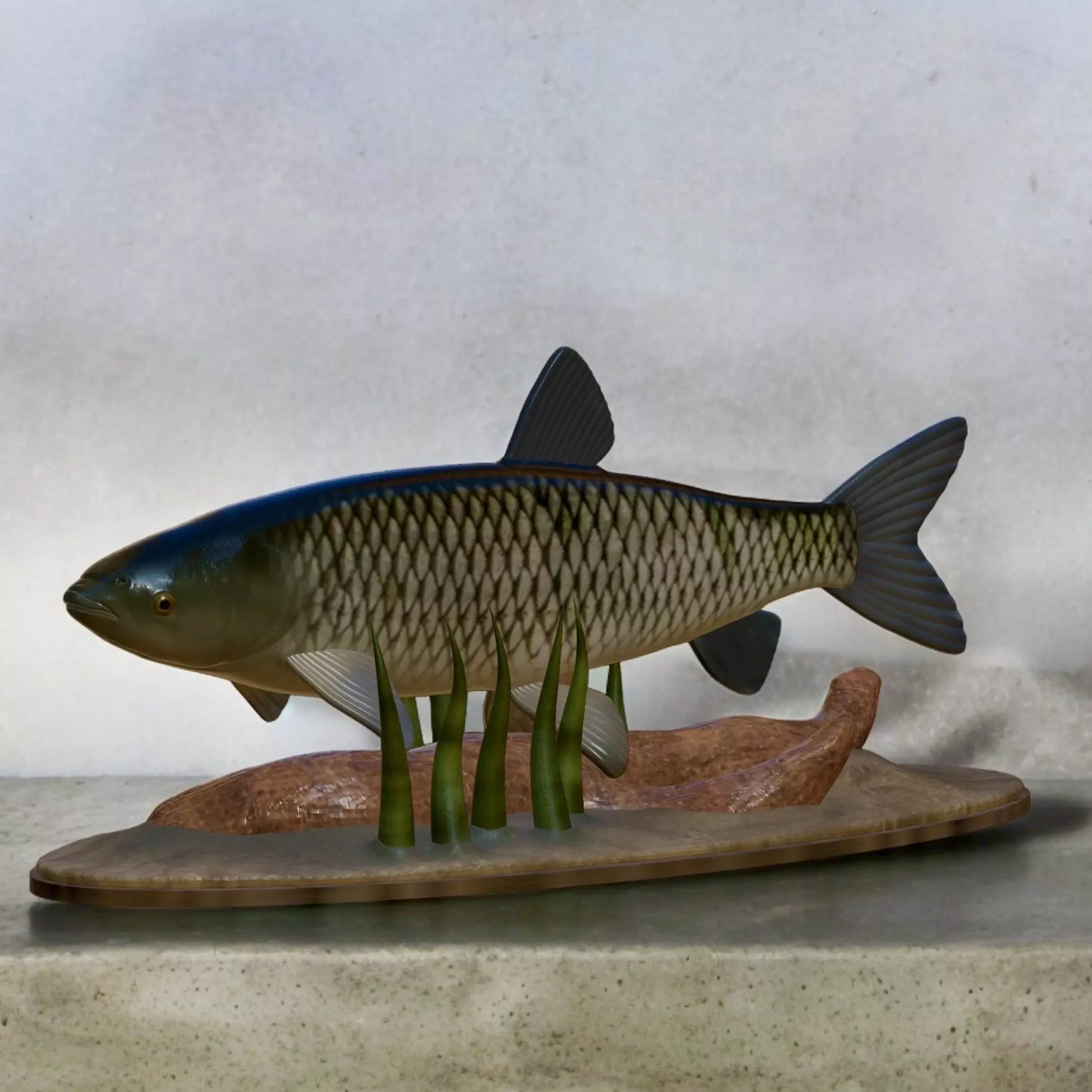 fish grass carp statue underwater detailed texture 3D print model_0