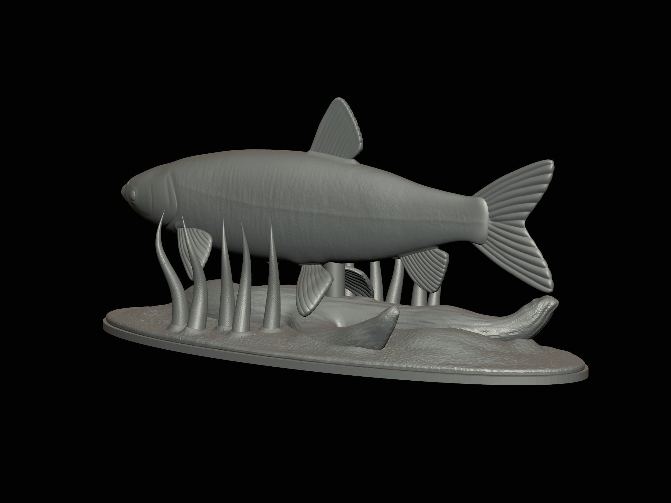 fish grass carp statue underwater detailed texture 3D print model_4