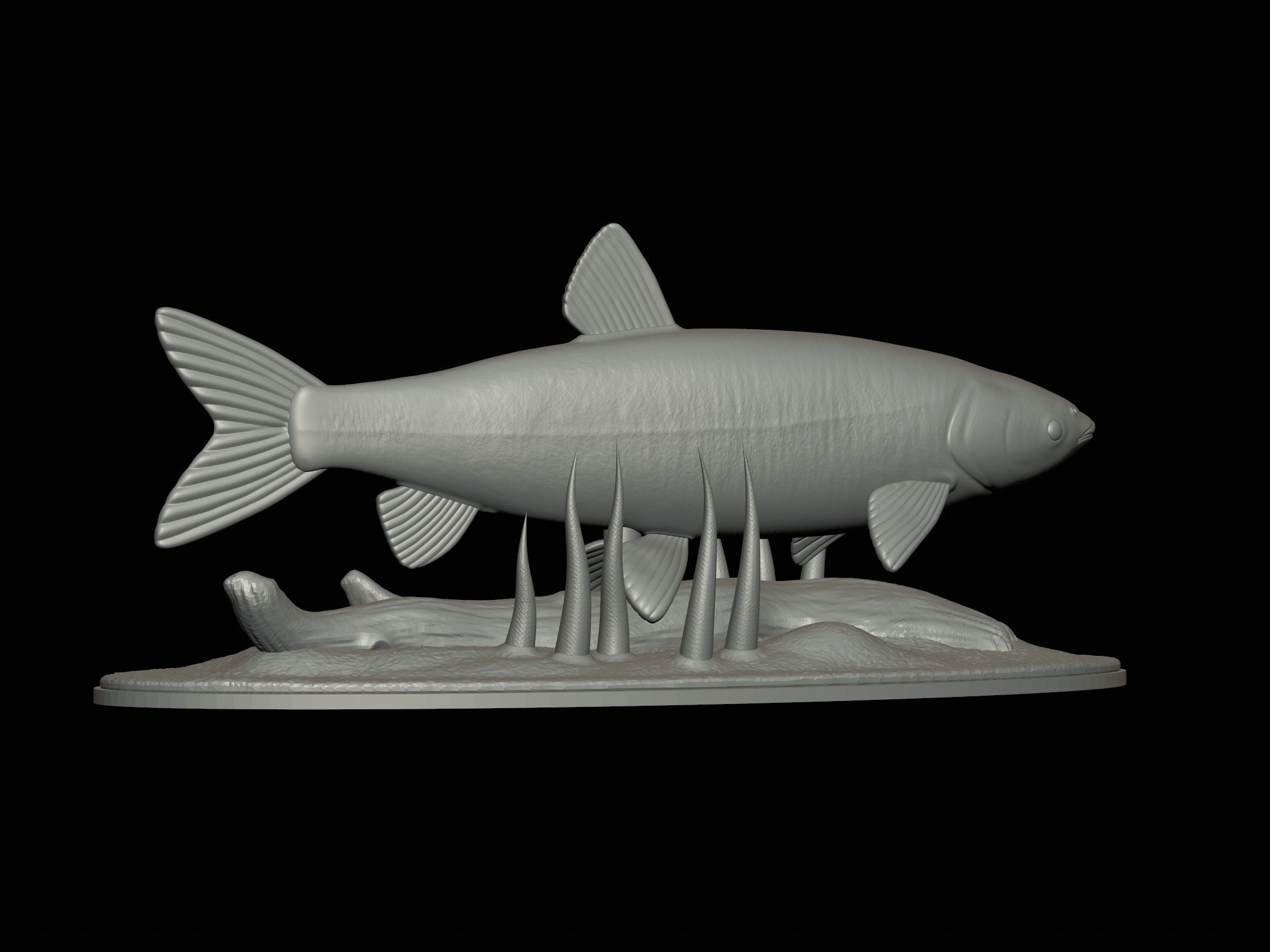 fish grass carp statue underwater detailed texture 3D print model_8