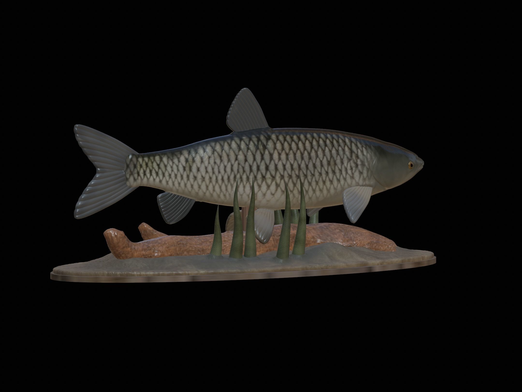 fish grass carp statue underwater detailed texture 3D print model_22