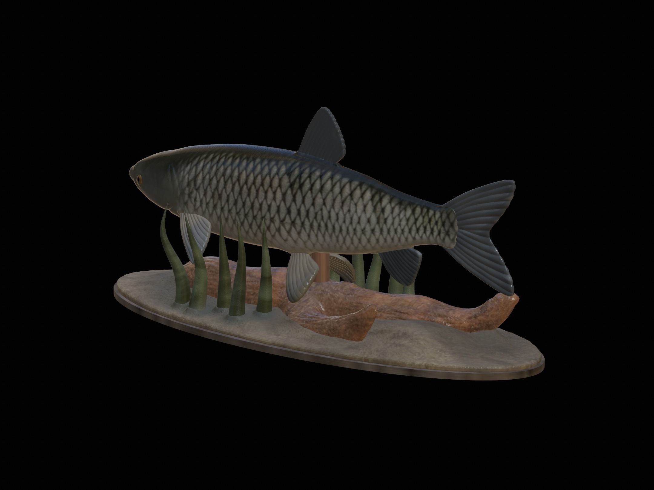fish grass carp statue underwater detailed texture 3D print model_18