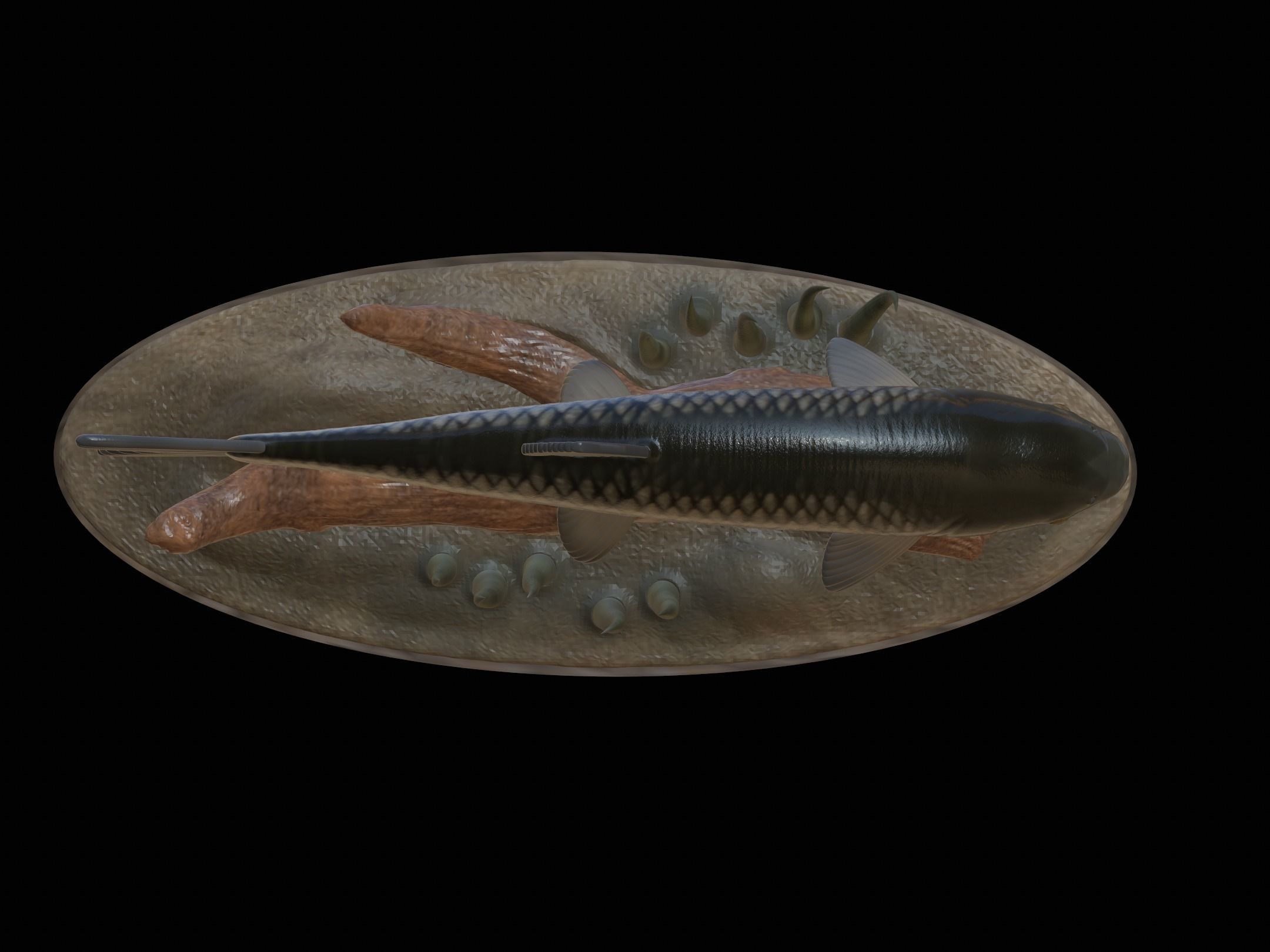 fish grass carp statue underwater detailed texture 3D print model_23