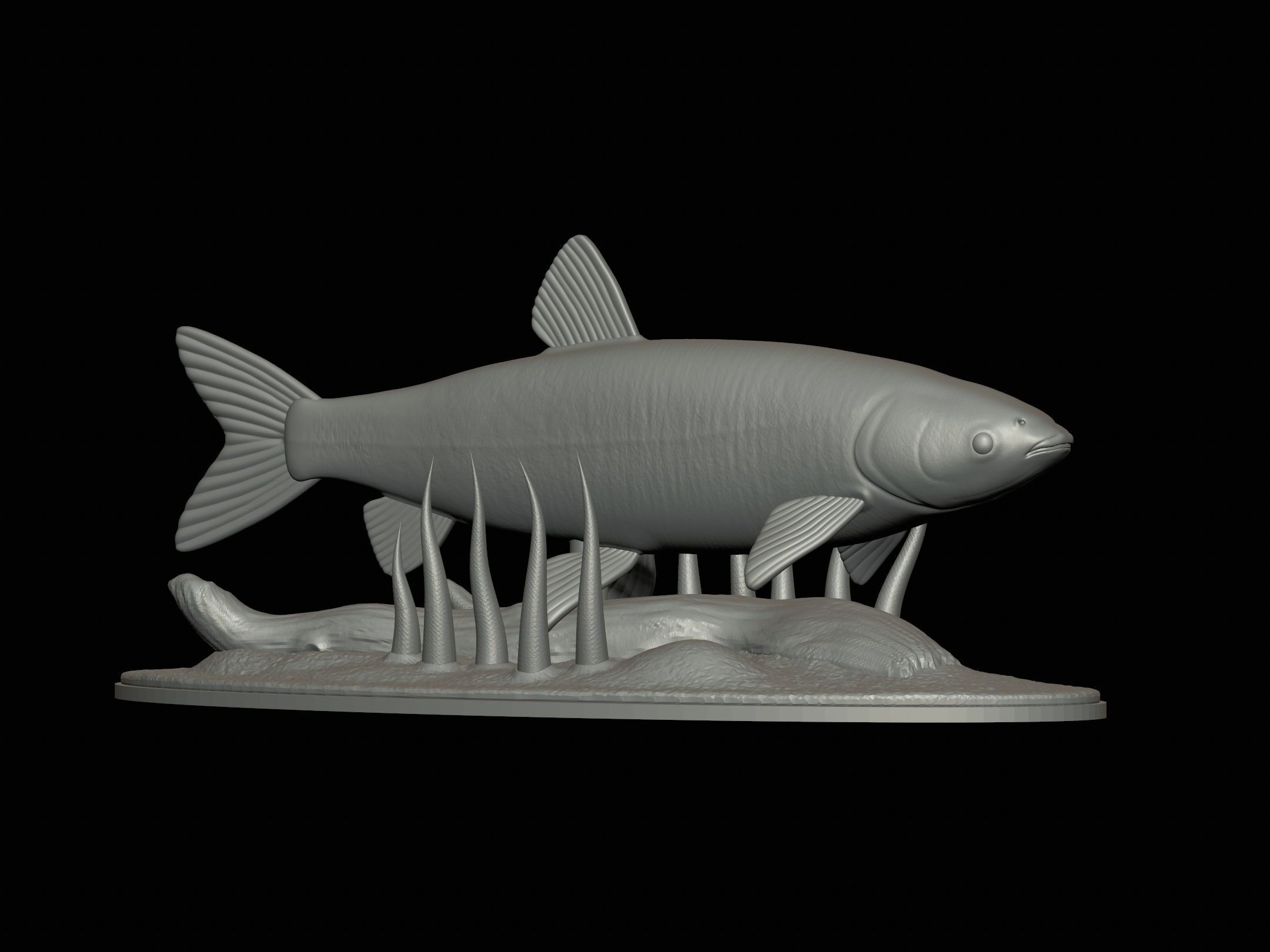 fish grass carp statue underwater detailed texture 3D print model_9