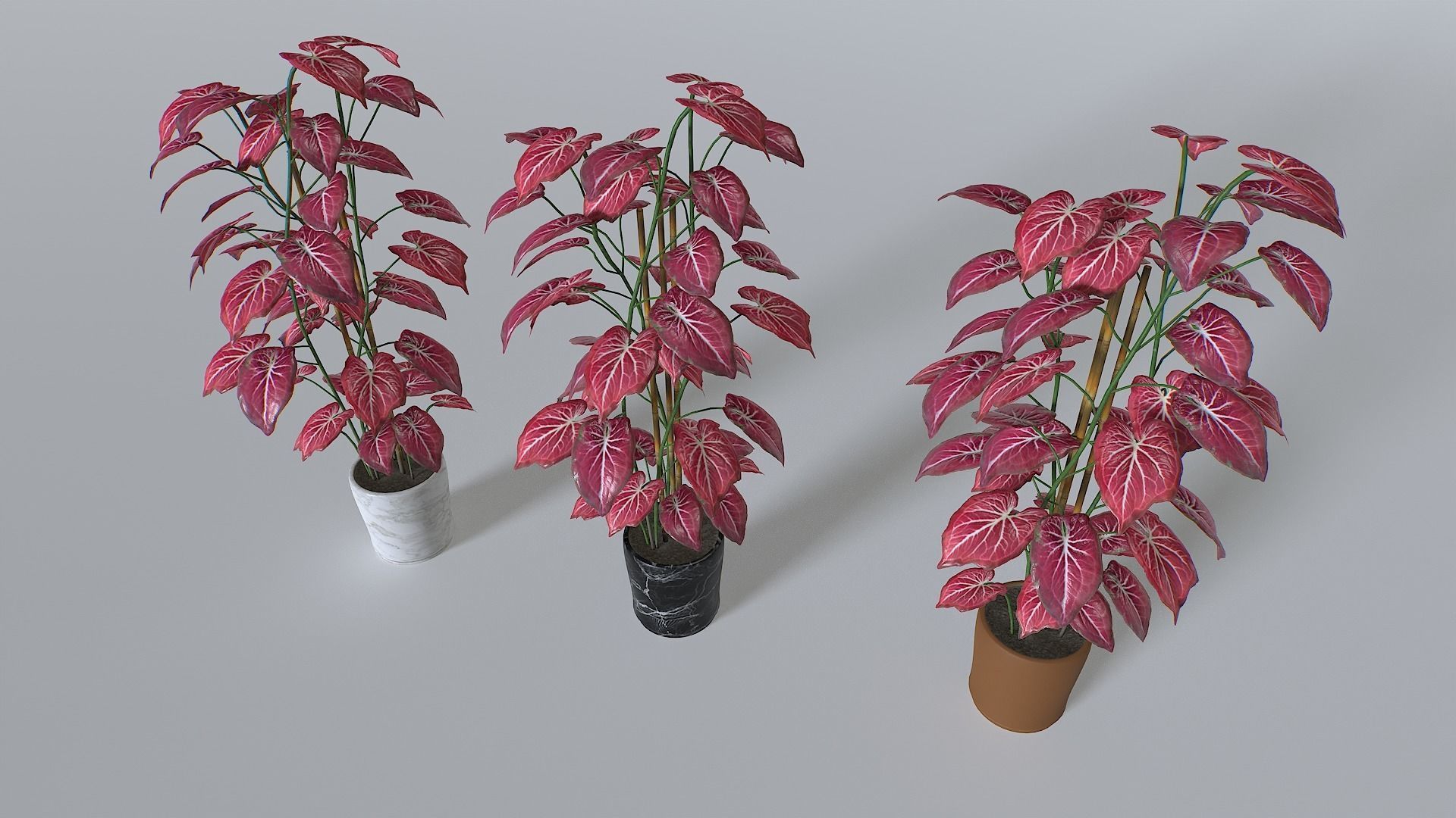 Pot Tropical Plant 2 Low-poly 3D model_1