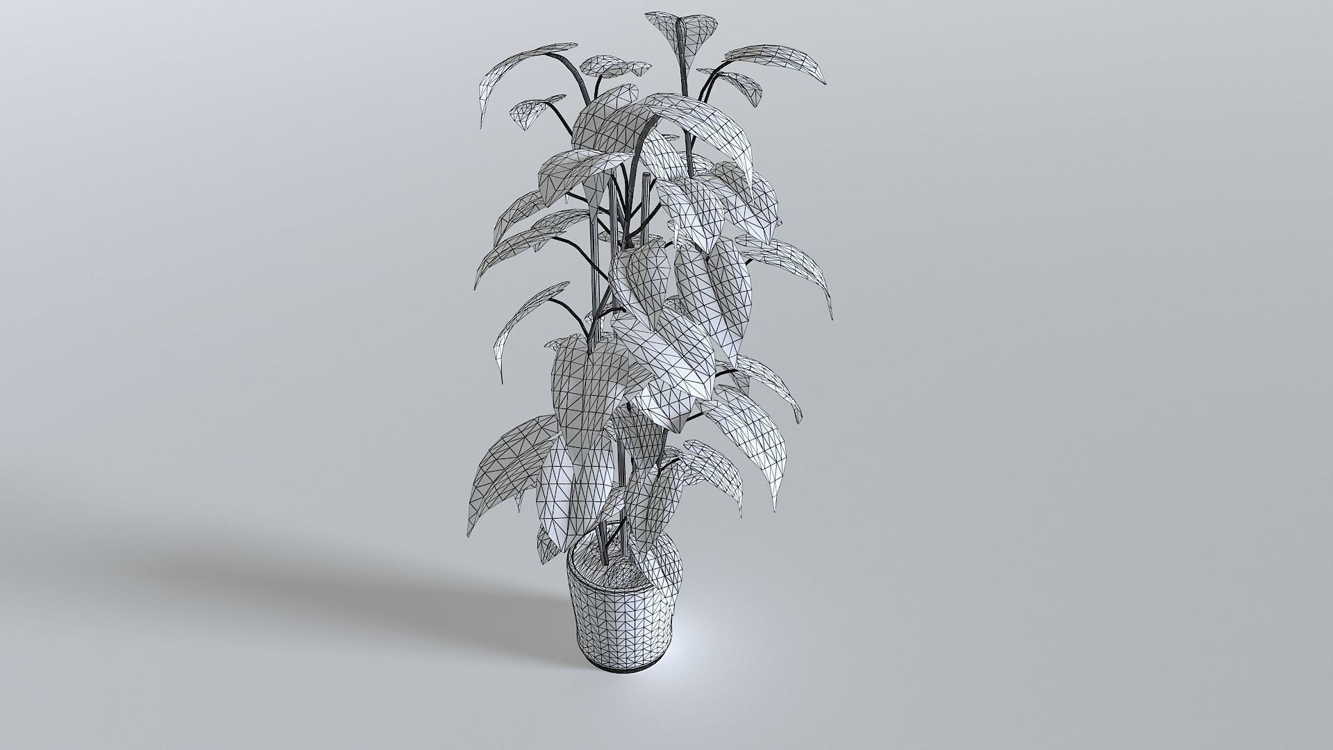 Pot Tropical Plant 2 Low-poly 3D model_6