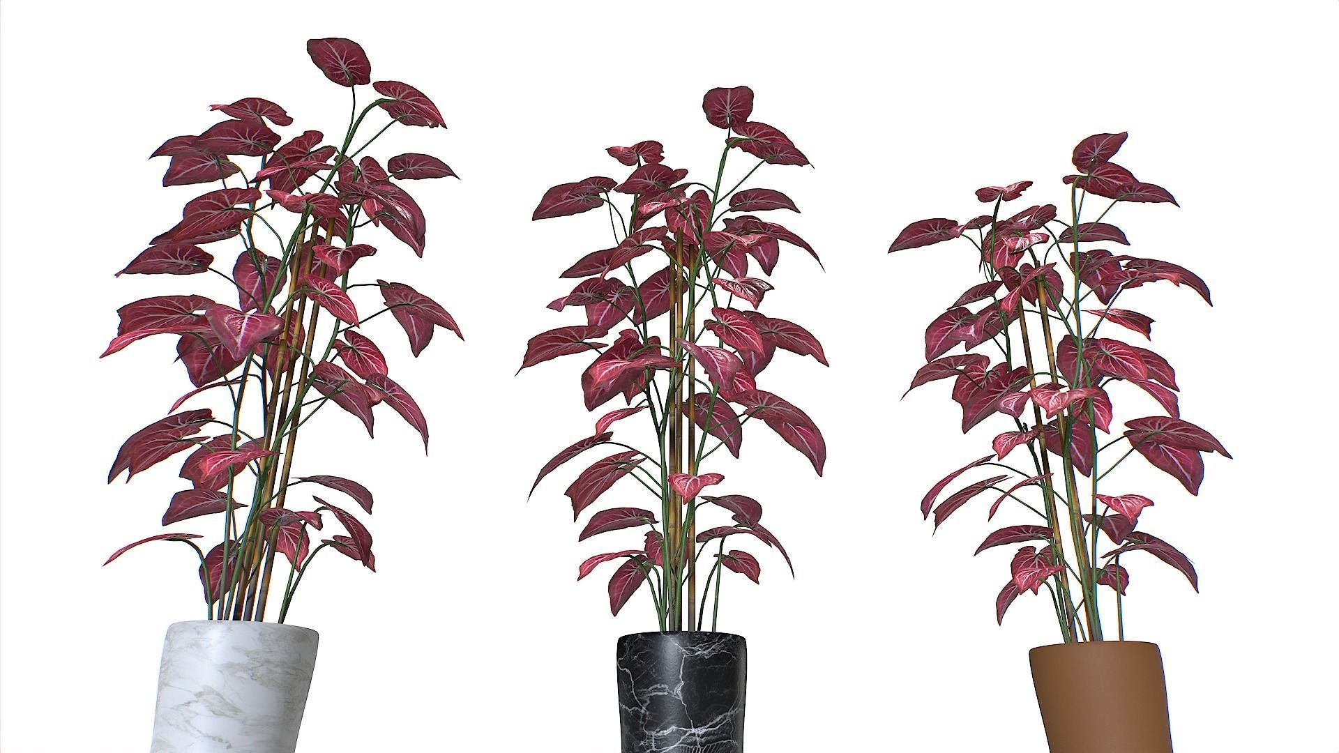 Pot Tropical Plant 2 Low-poly 3D model_7