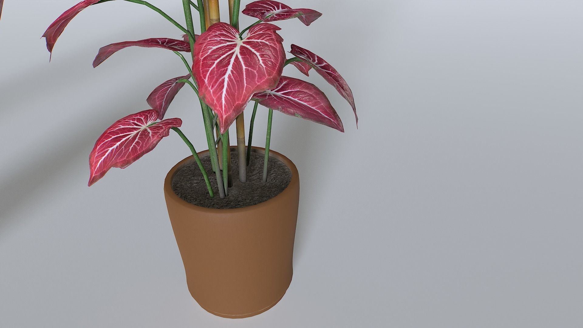 Pot Tropical Plant 2 Low-poly 3D model_4