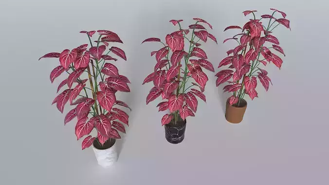Pot Tropical Plant 2 Low-poly 3D model