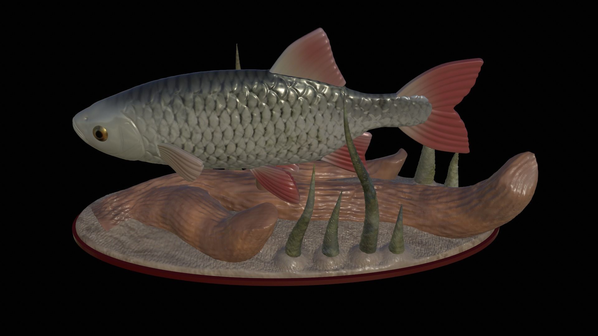 fish common rudd statue underwater detailed texture 3D print model_23