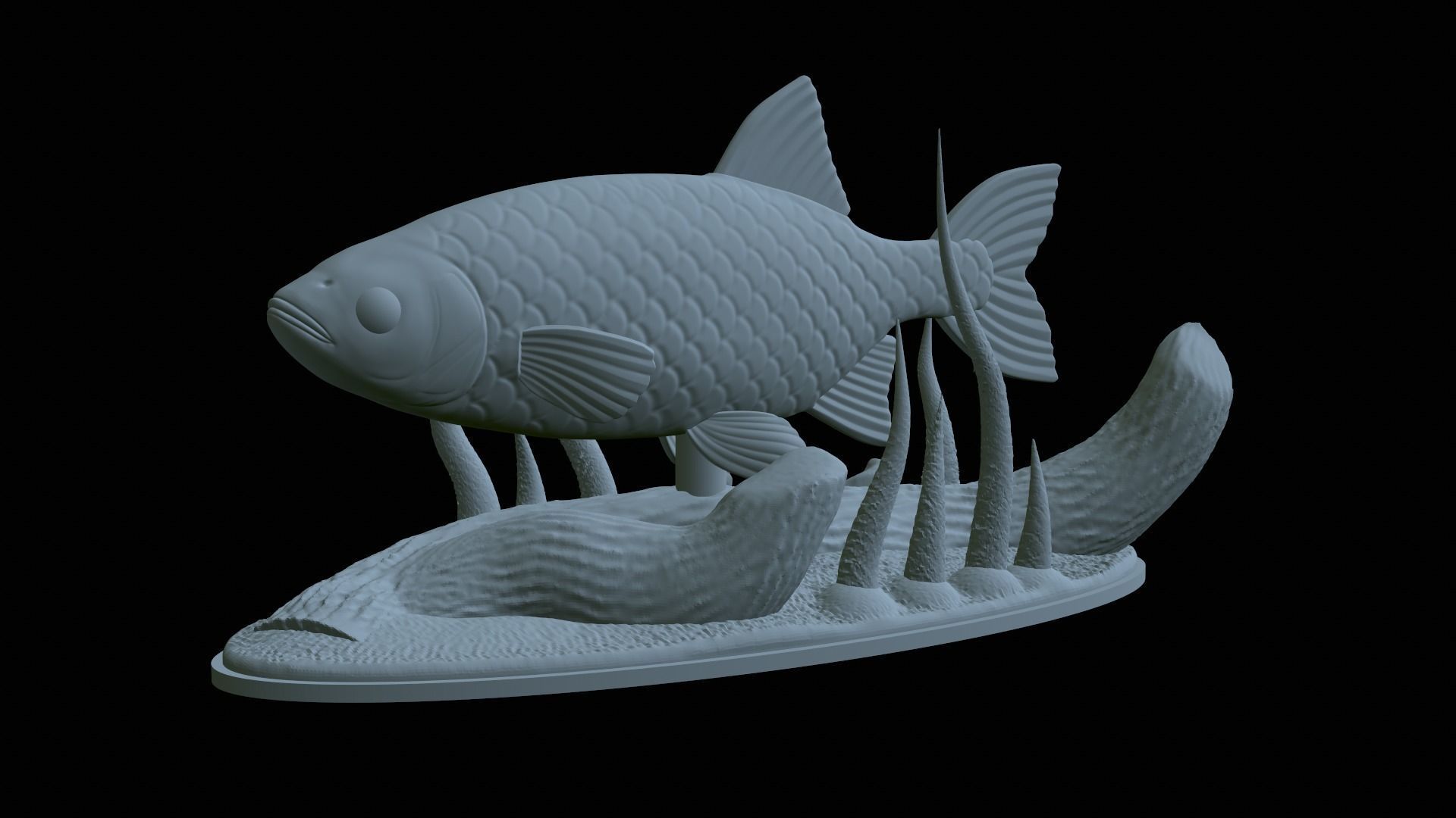 fish common rudd statue underwater detailed texture 3D print model_1