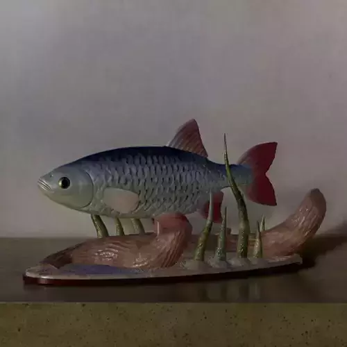 fish common rudd statue underwater detailed texture 3D print model