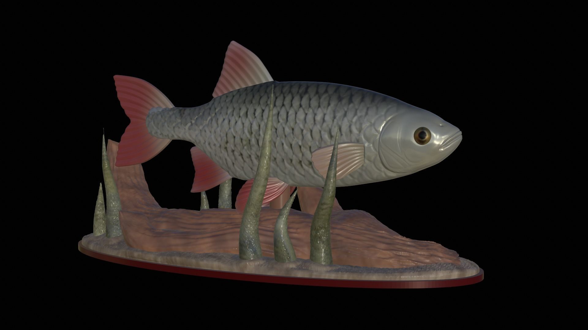 fish common rudd statue underwater detailed texture 3D print model_2