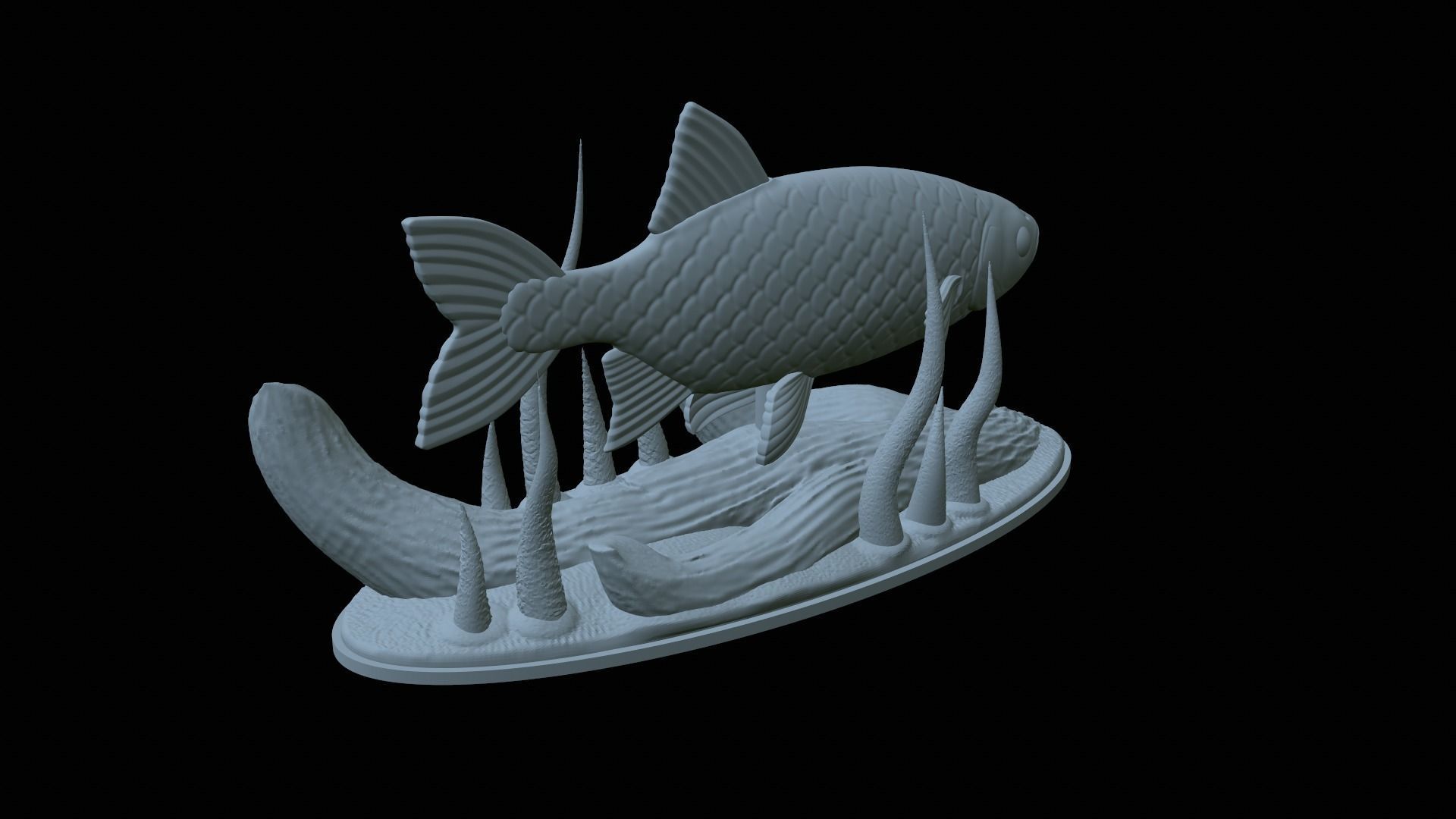 fish common rudd statue underwater detailed texture 3D print model_7