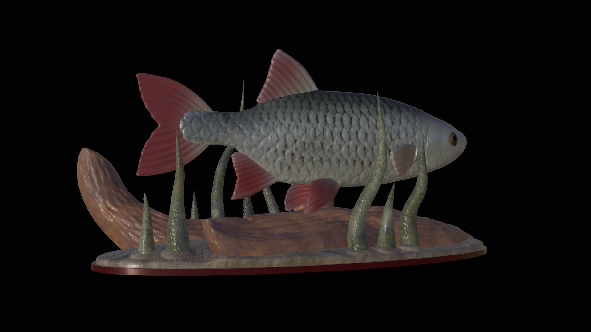 fish common rudd statue underwater detailed texture 3D print model_18