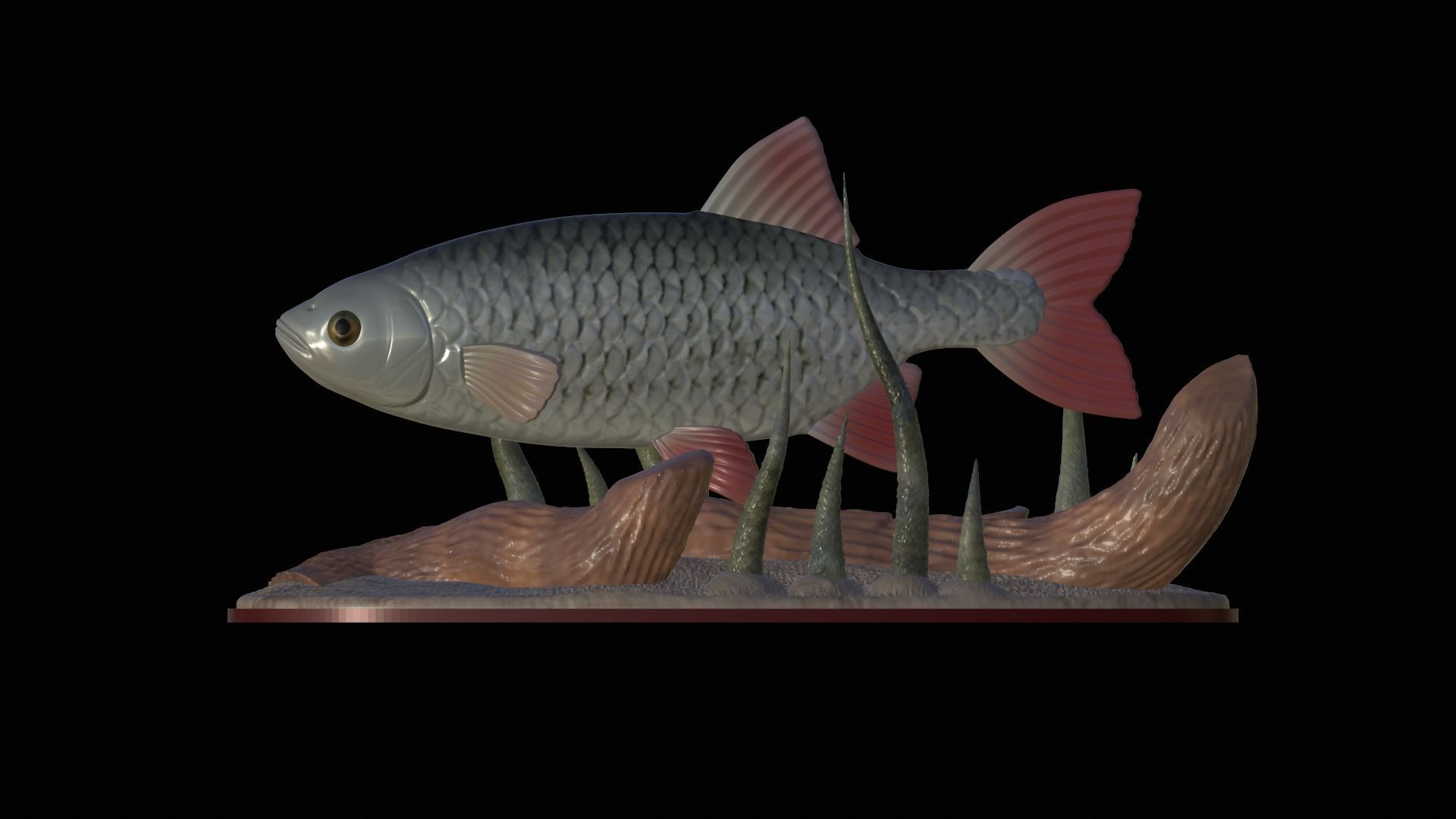 fish common rudd statue underwater detailed texture 3D print model_11