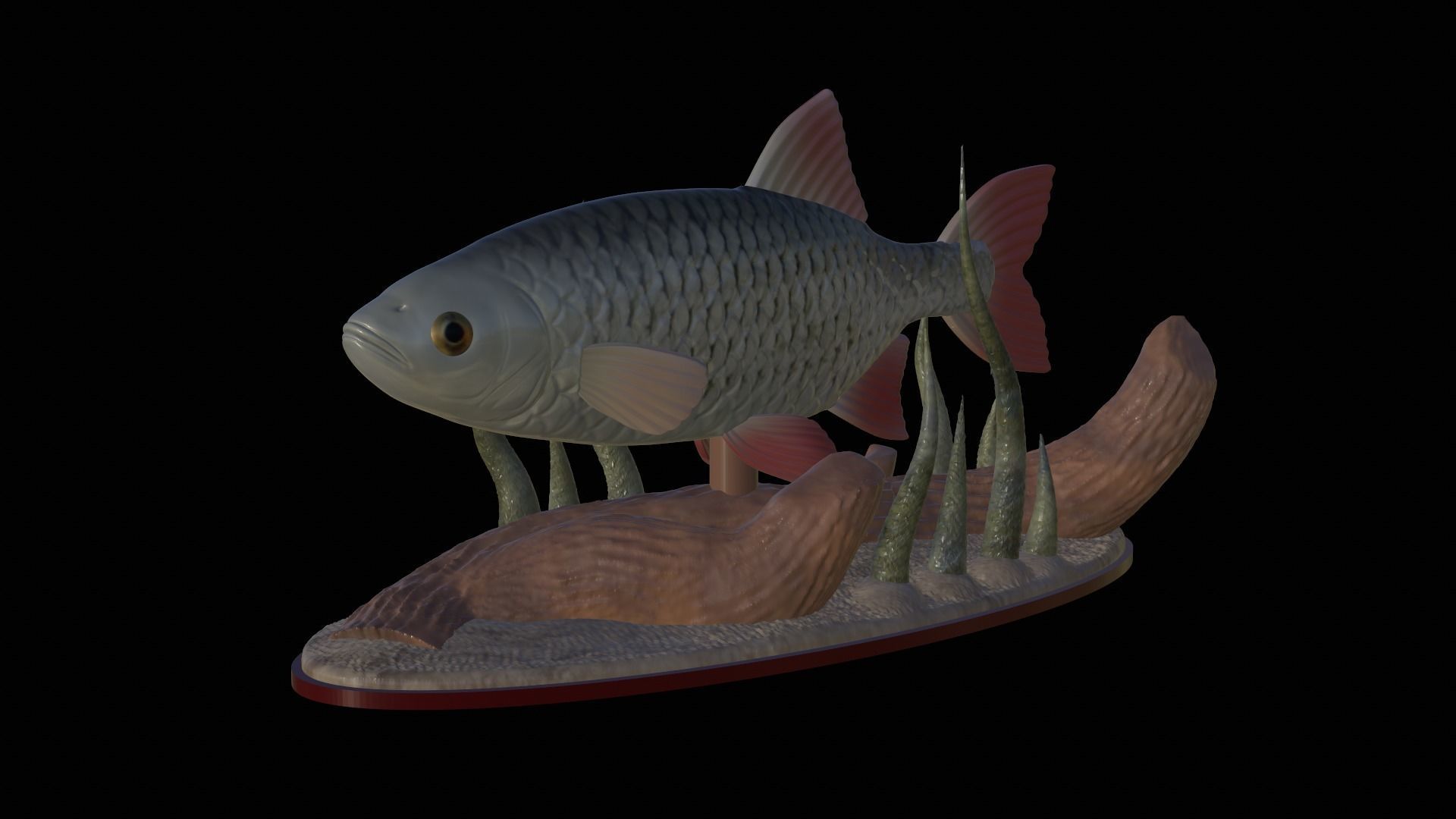 fish common rudd statue underwater detailed texture 3D print model_12