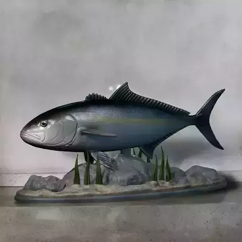 fish greater amberjack statue underwater detailed texture 3D print model