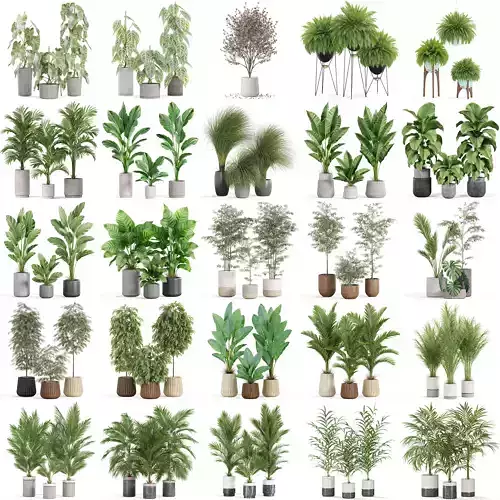 Plants collection vol 25 