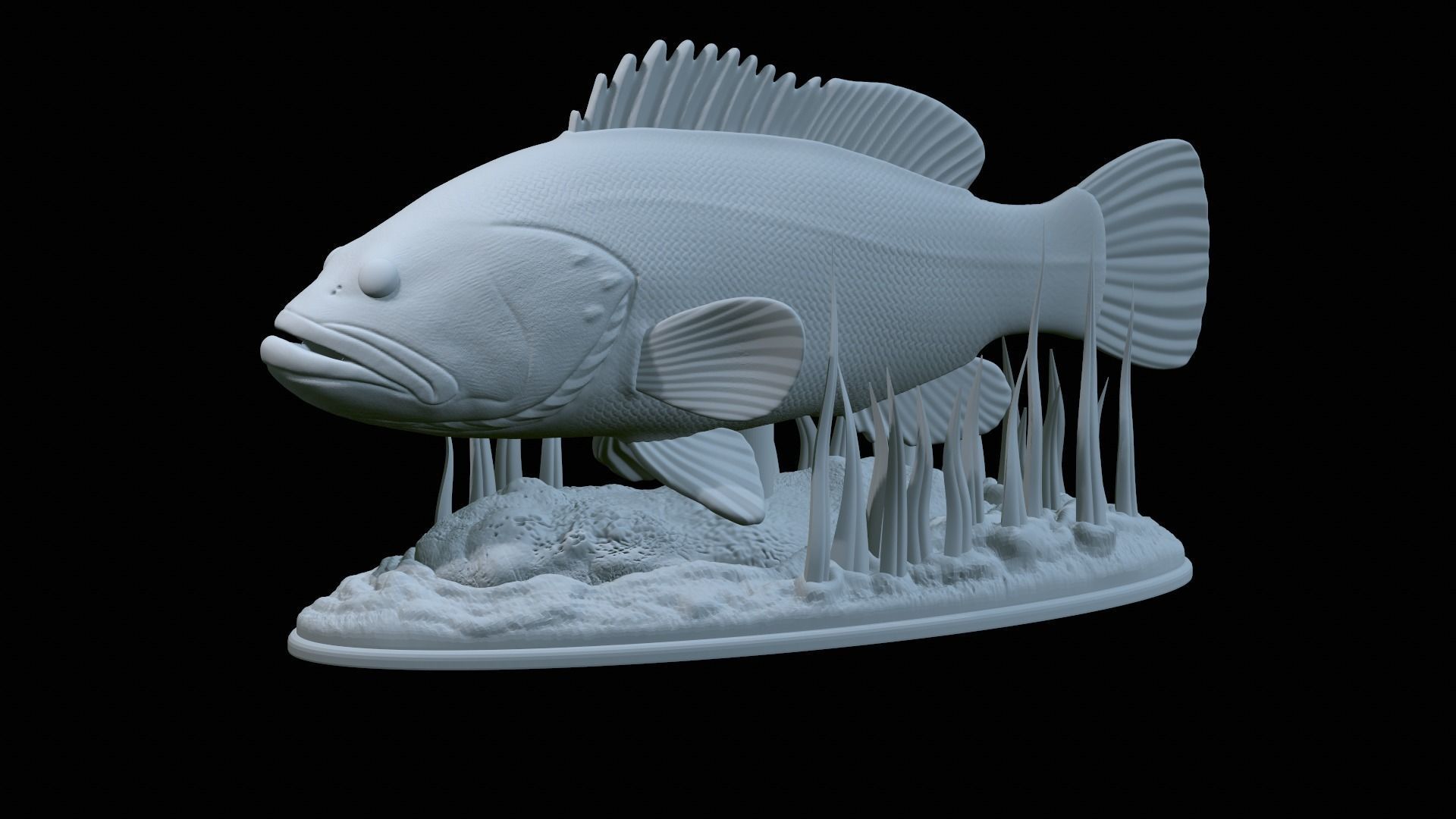 fish dusky grouper statue underwater detailed texture 3D print model_2