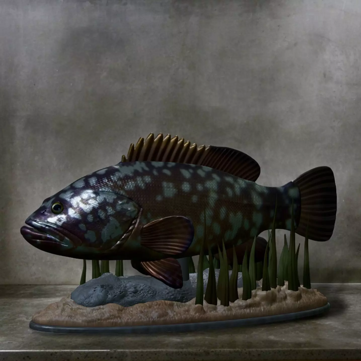 fish dusky grouper statue underwater detailed texture 3D print model_0