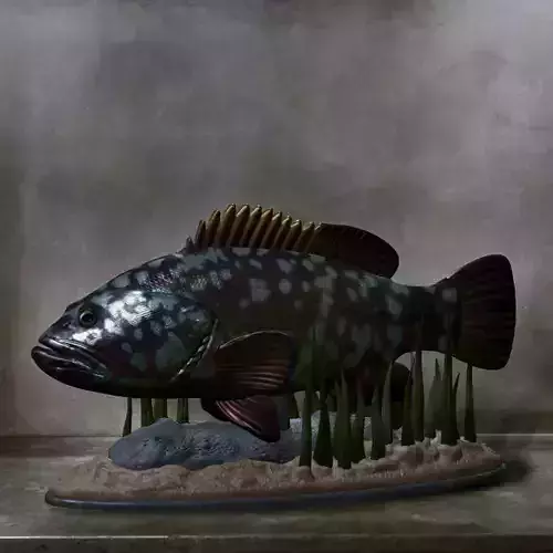 fish dusky grouper statue underwater detailed texture 3D print model