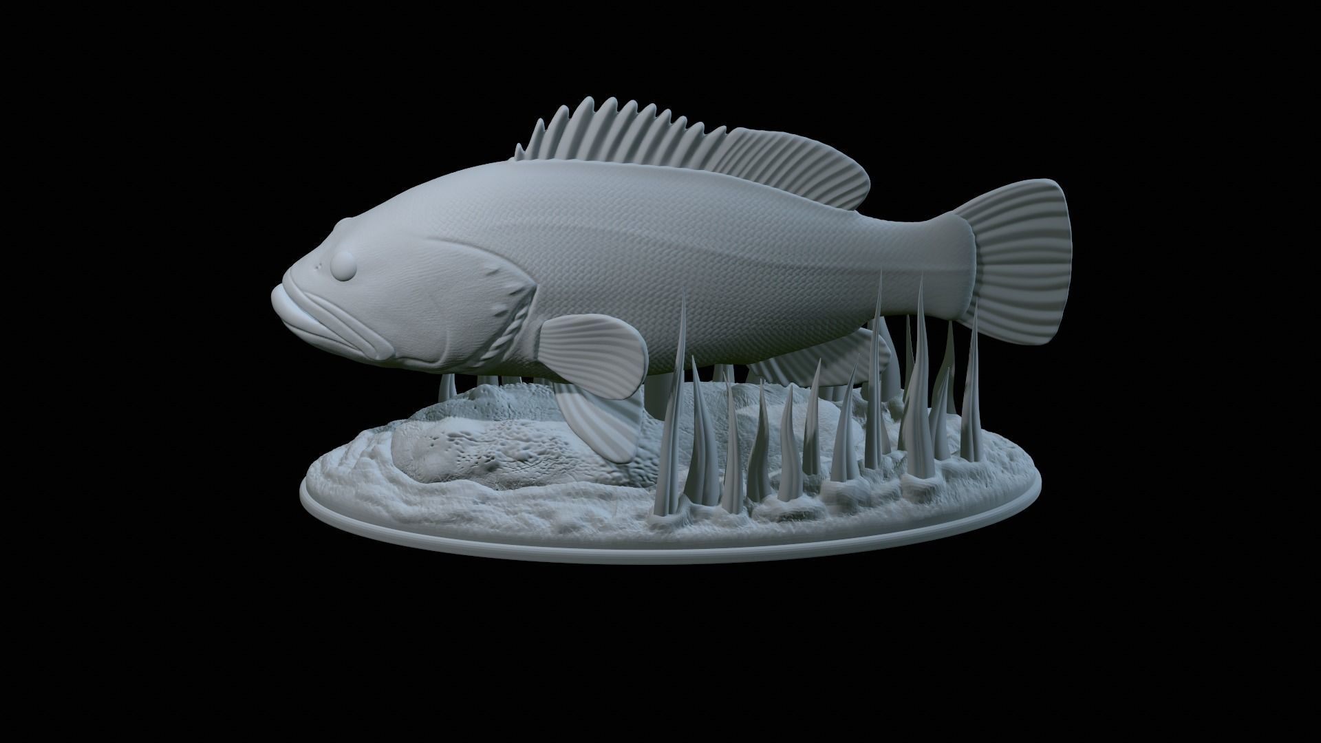 fish dusky grouper statue underwater detailed texture 3D print model_44