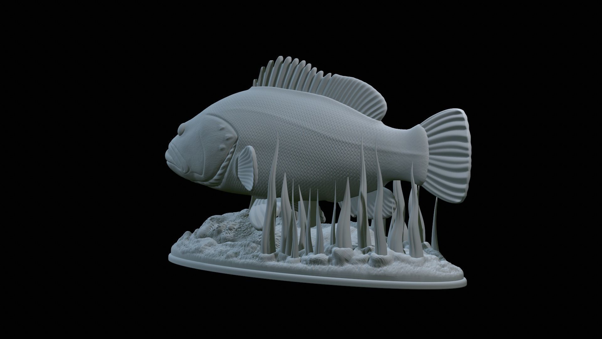 fish dusky grouper statue underwater detailed texture 3D print model_41