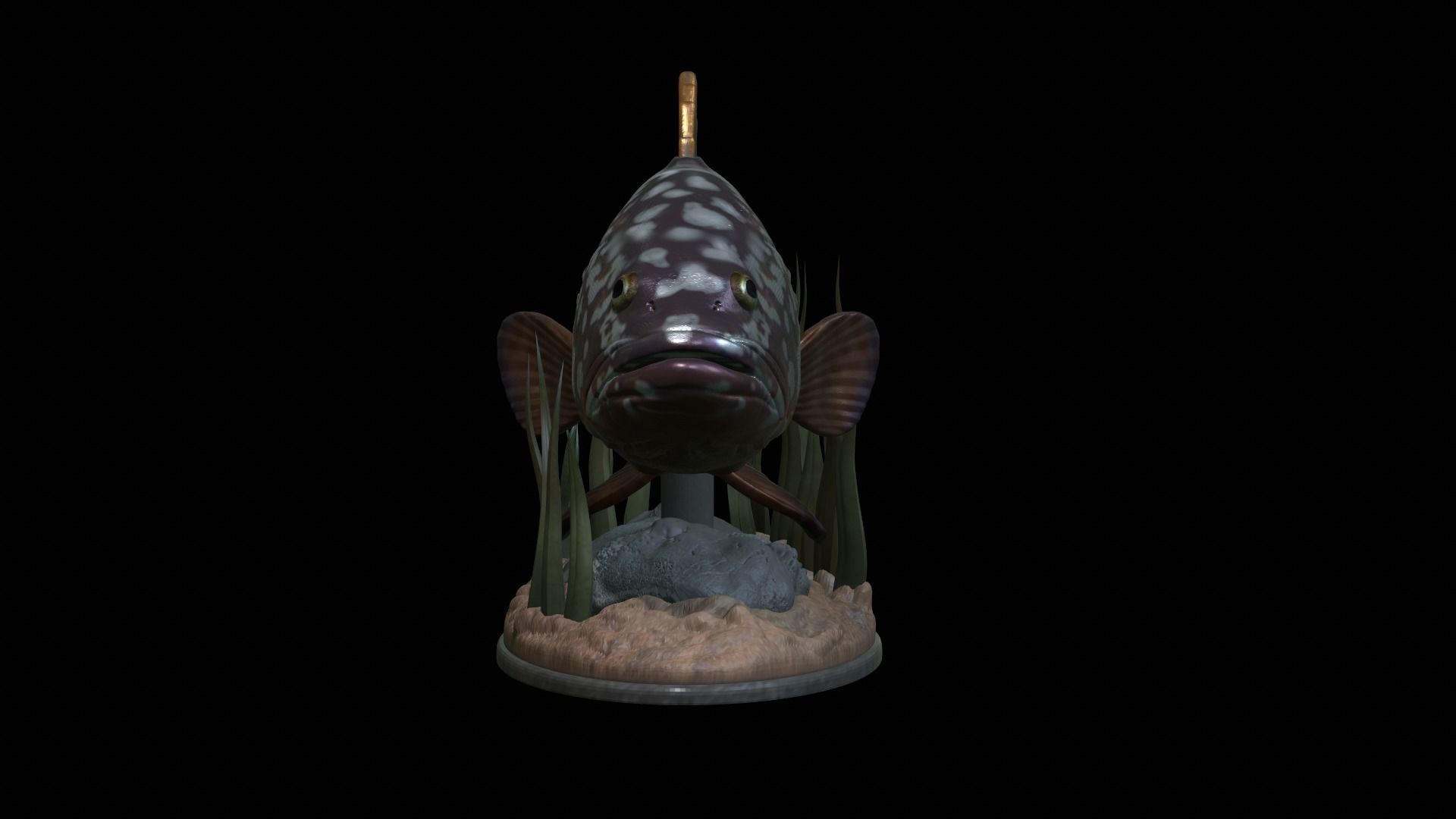 fish dusky grouper statue underwater detailed texture 3D print model_13