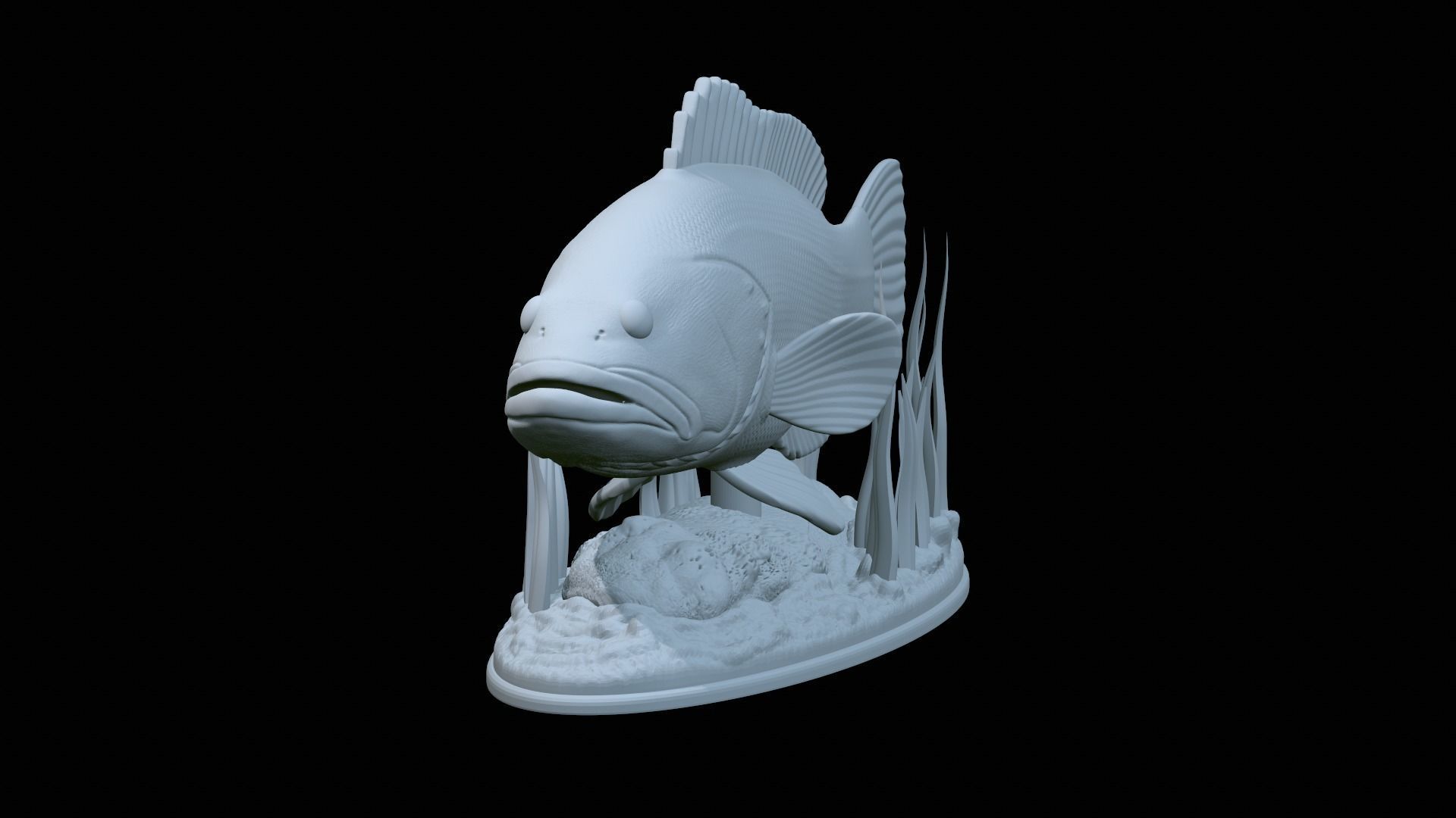 fish dusky grouper statue underwater detailed texture 3D print model_25