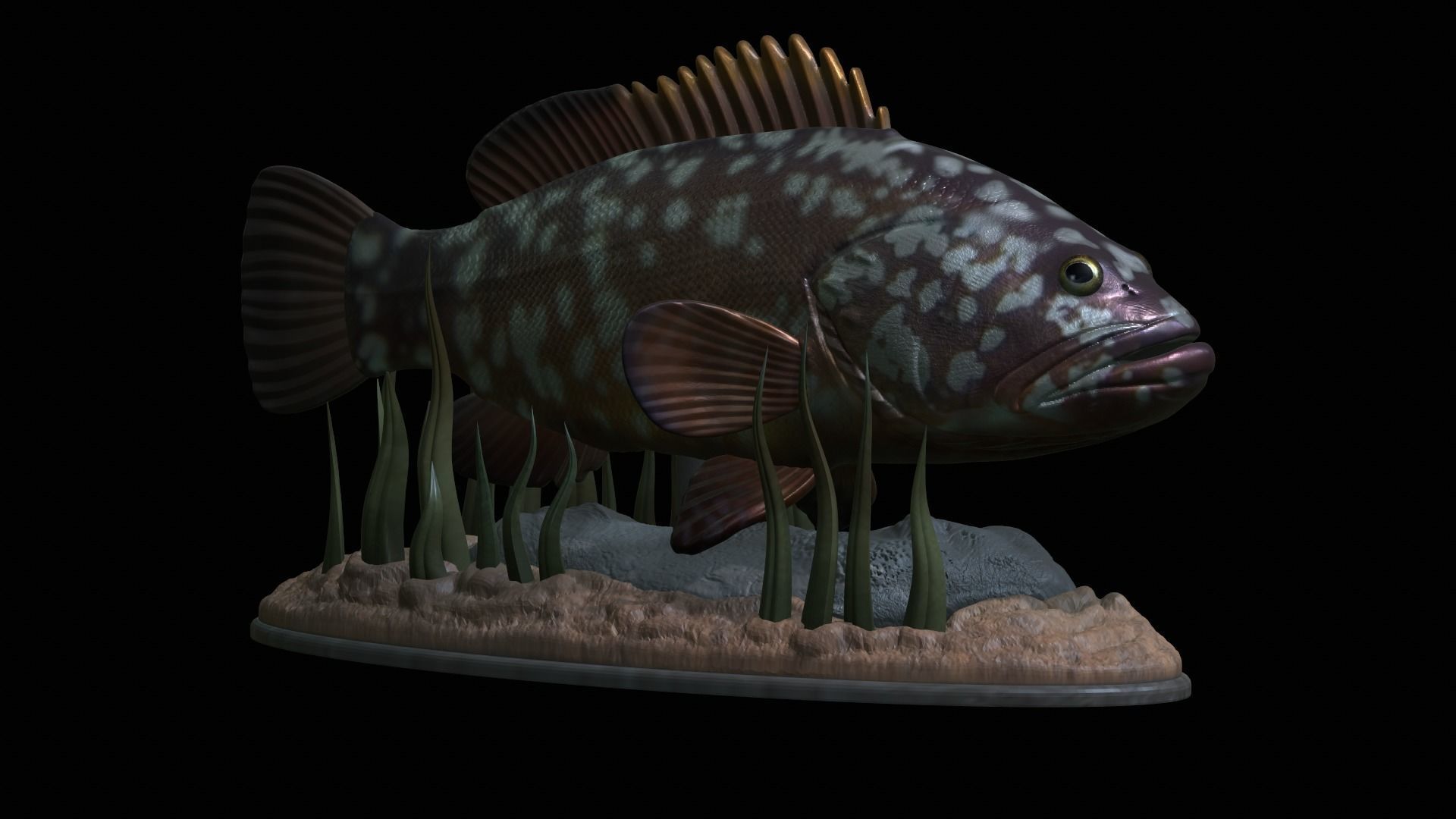 fish dusky grouper statue underwater detailed texture 3D print model_45