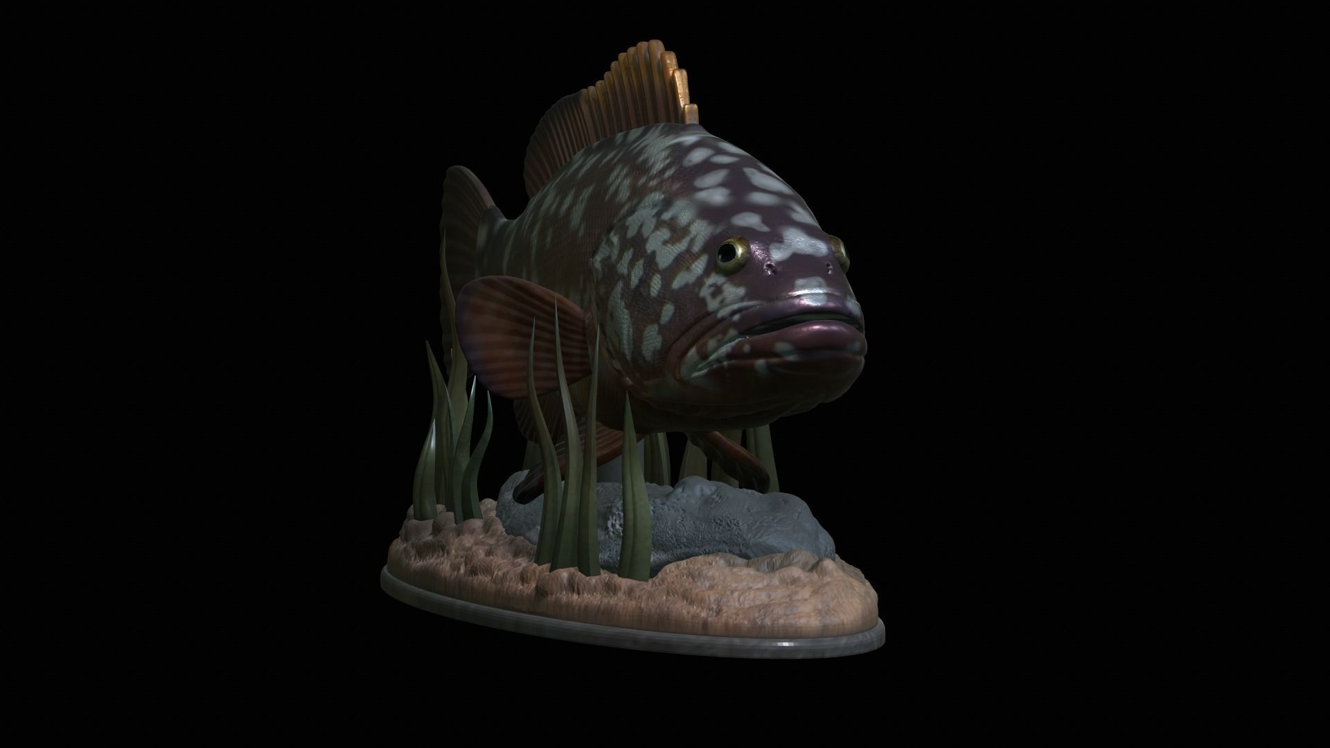 fish dusky grouper statue underwater detailed texture 3D print model_19