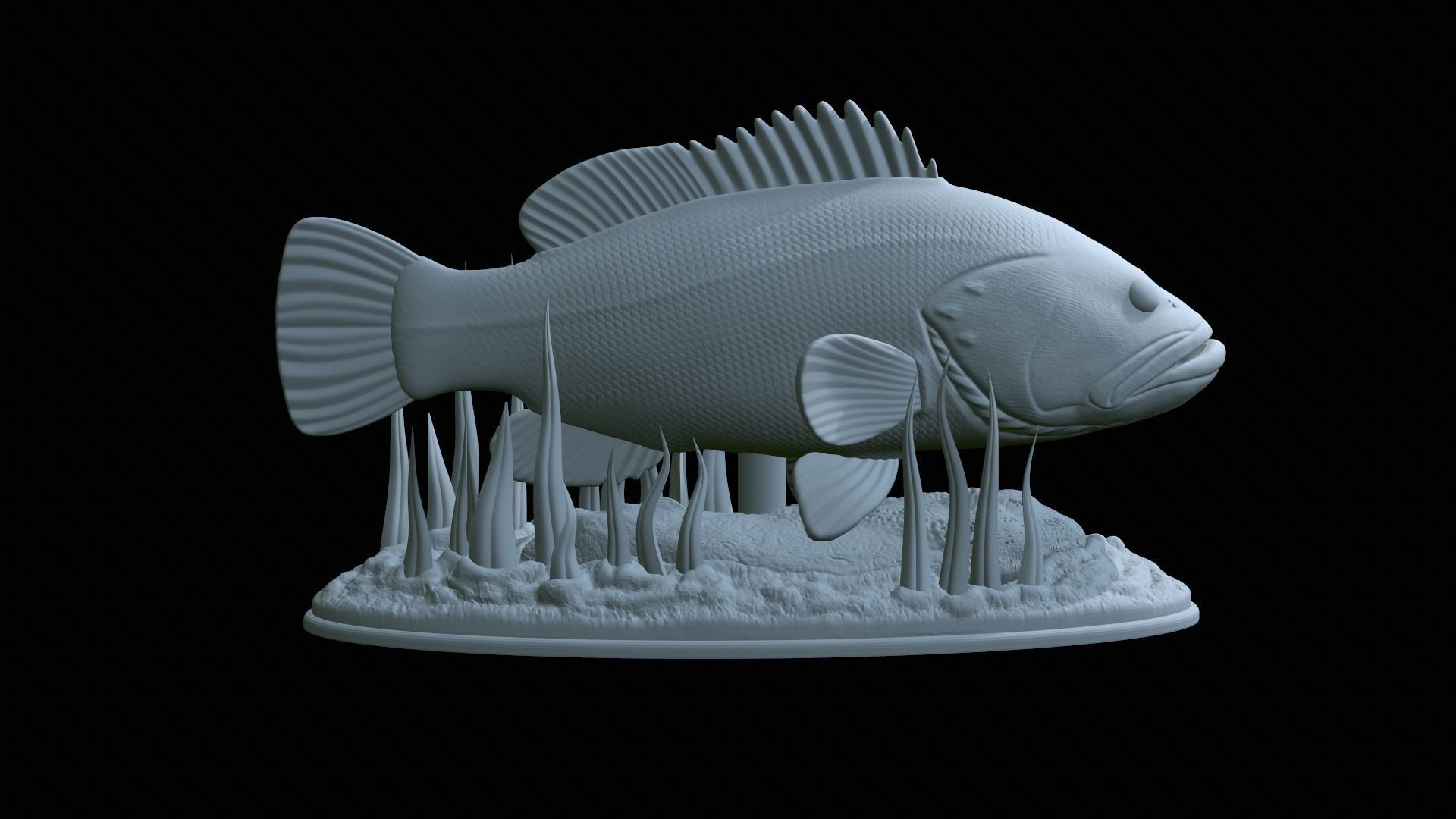 fish dusky grouper statue underwater detailed texture 3D print model_9