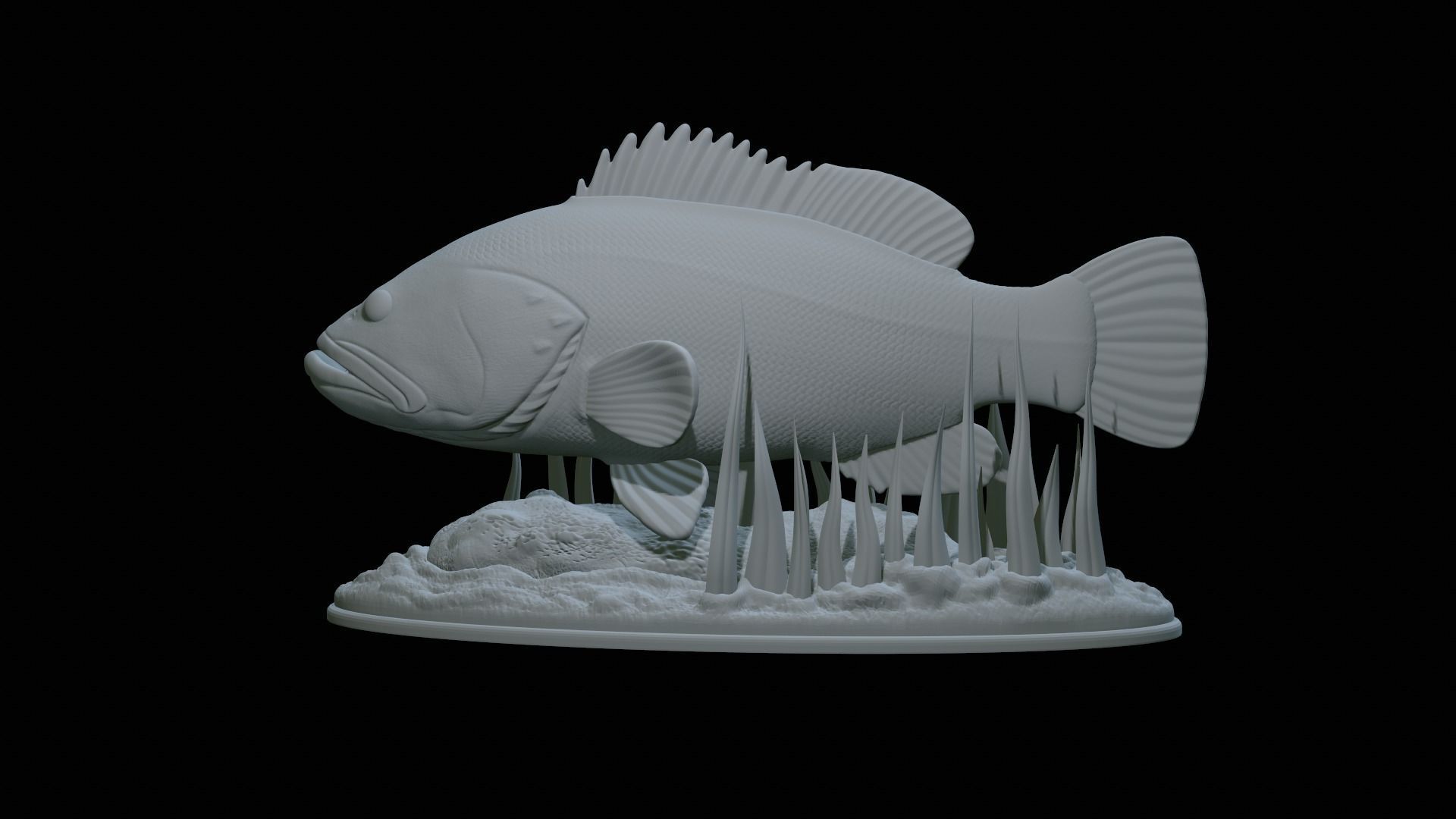 fish dusky grouper statue underwater detailed texture 3D print model_37