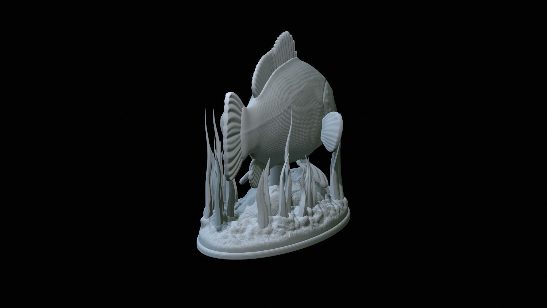 fish dusky grouper statue underwater detailed texture 3D print model_27