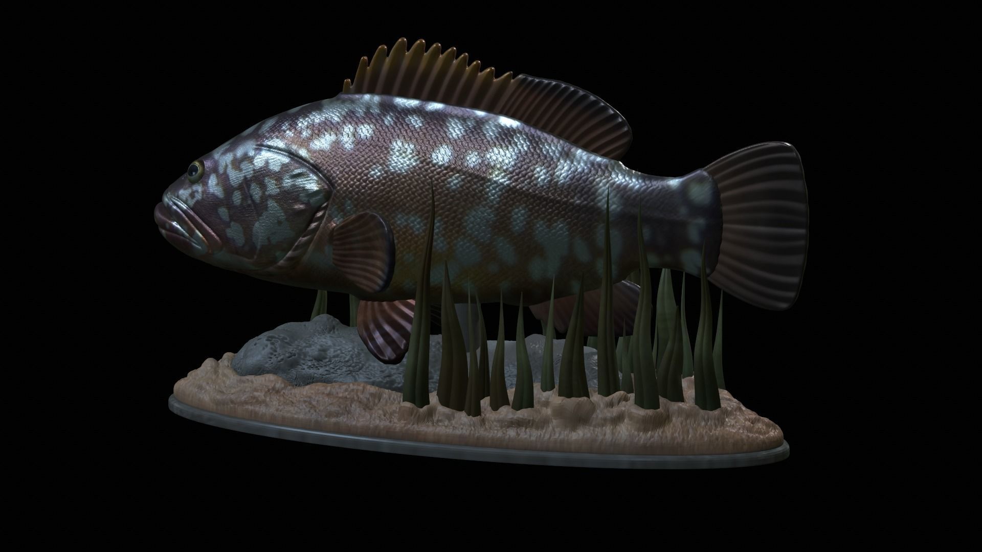 fish dusky grouper statue underwater detailed texture 3D print model_48