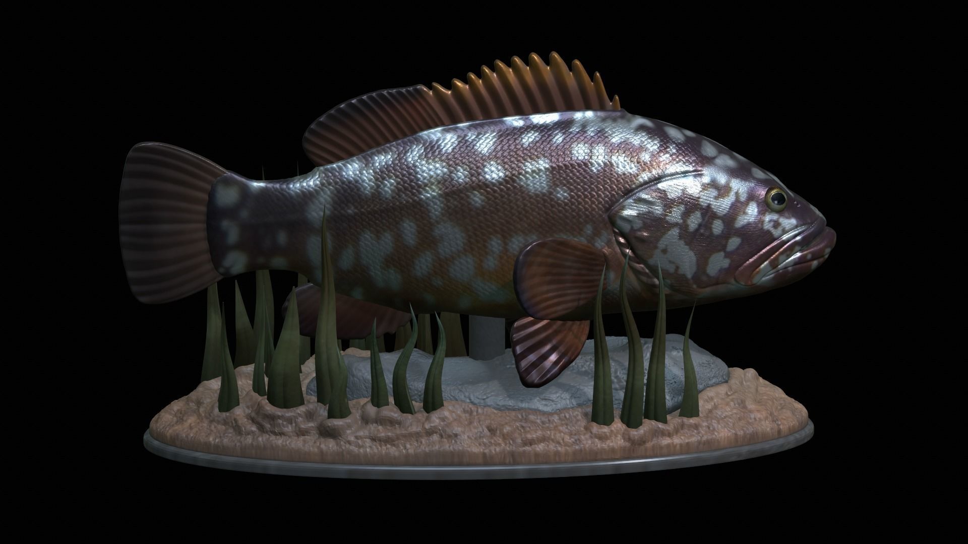 fish dusky grouper statue underwater detailed texture 3D print model_32