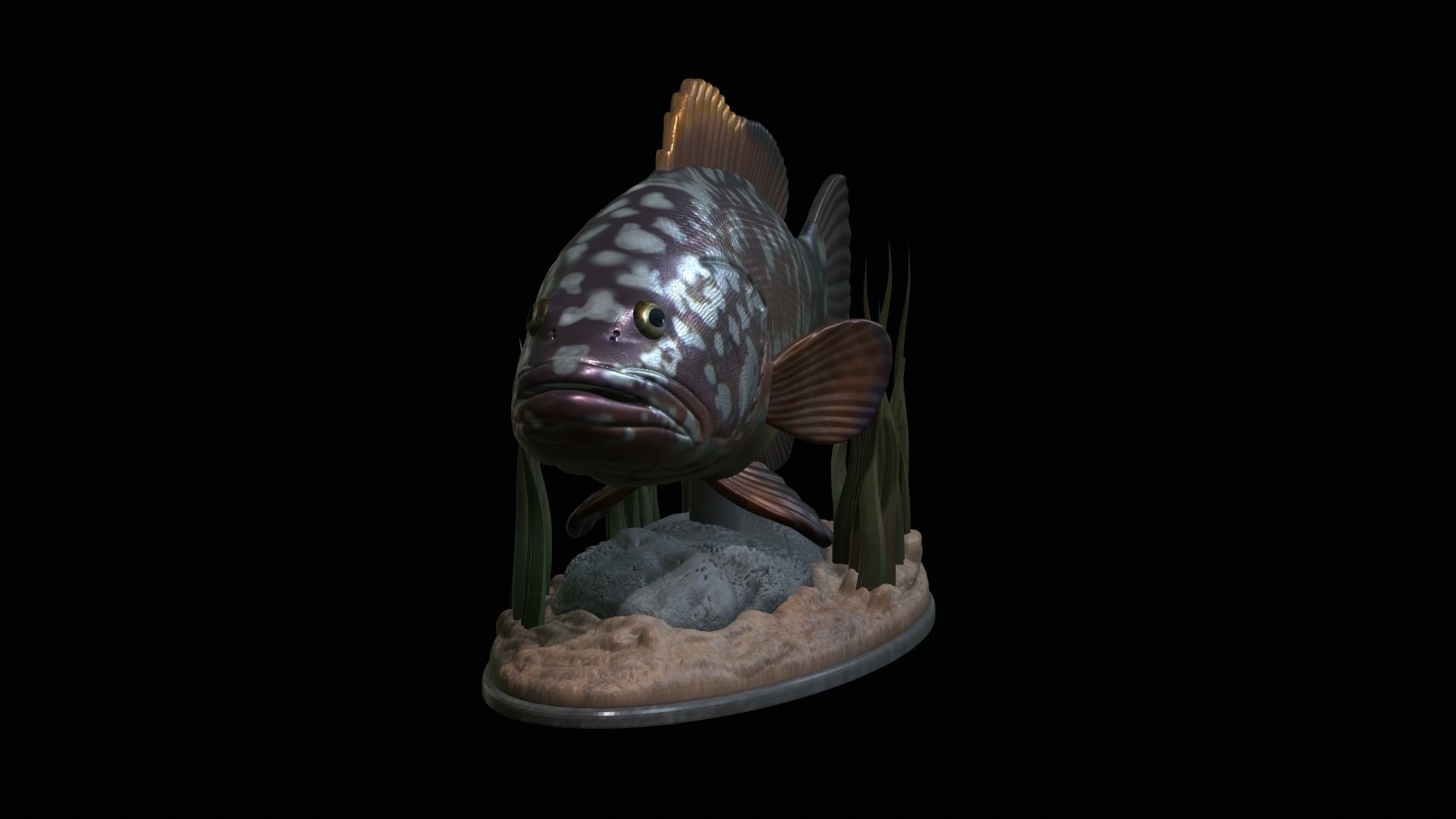 fish dusky grouper statue underwater detailed texture 3D print model_24