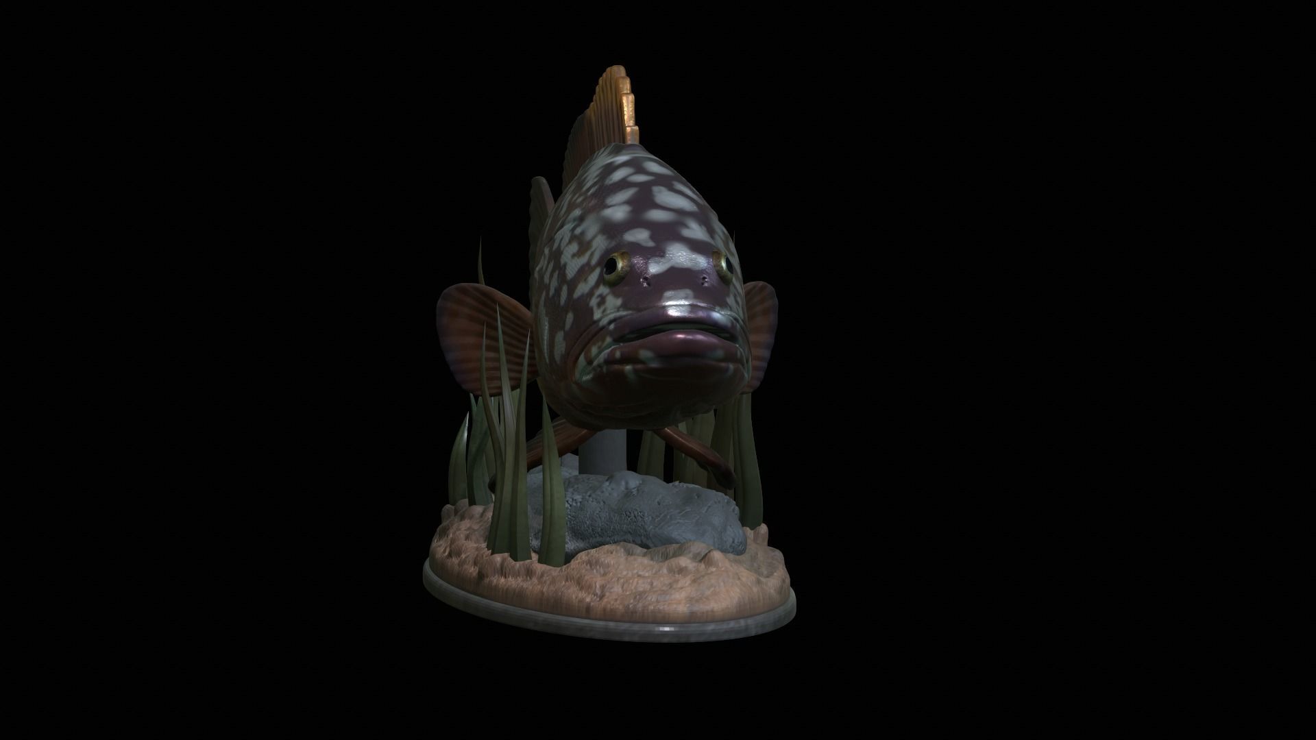 fish dusky grouper statue underwater detailed texture 3D print model_20