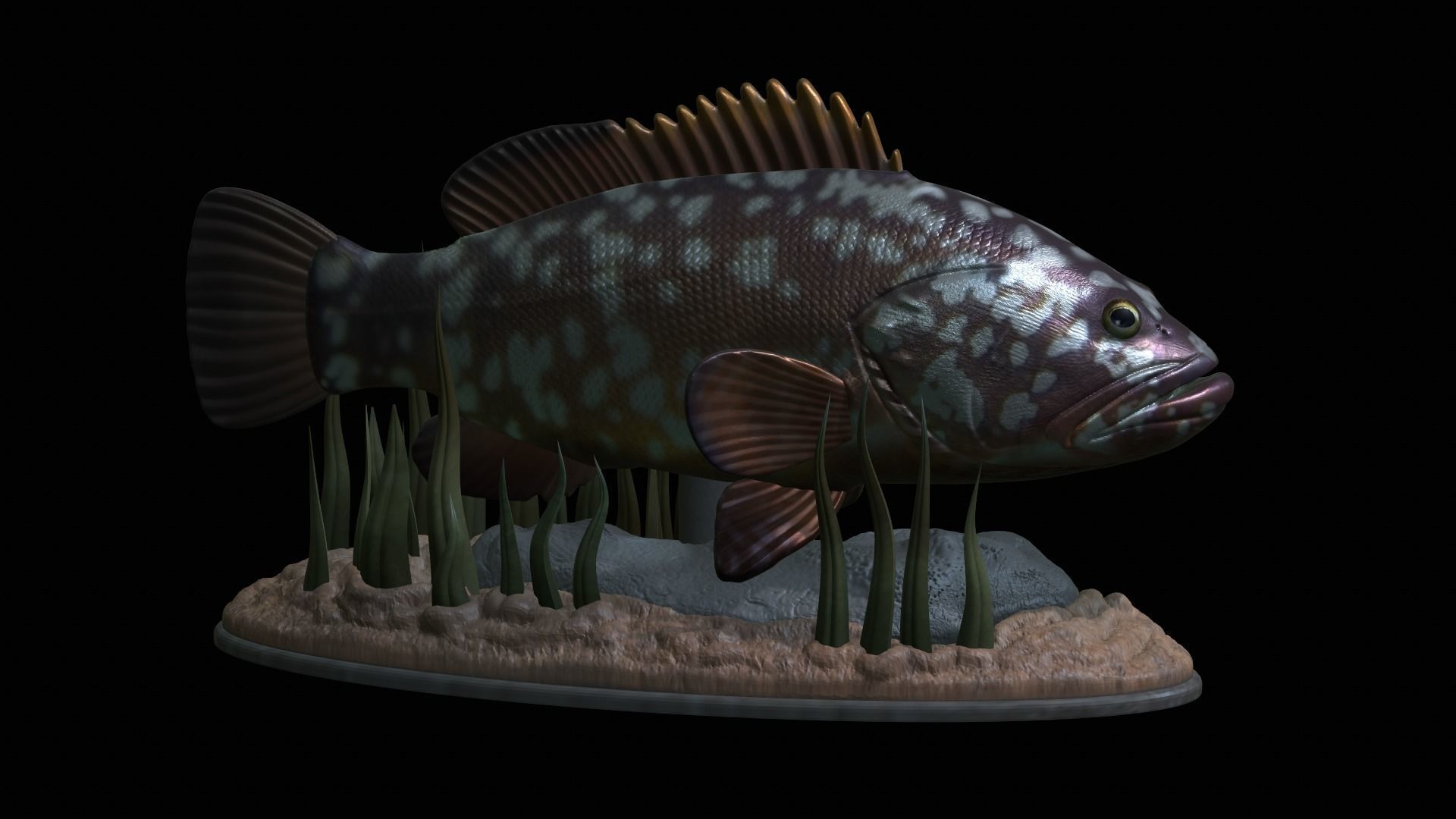 fish dusky grouper statue underwater detailed texture 3D print model_40