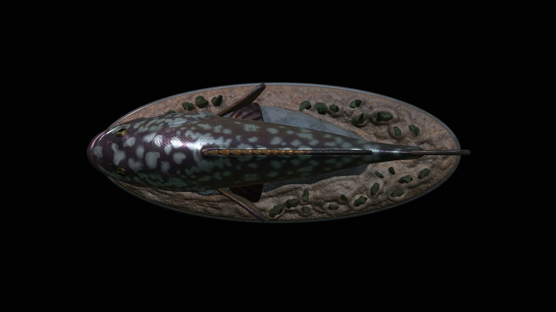 fish dusky grouper statue underwater detailed texture 3D print model_47