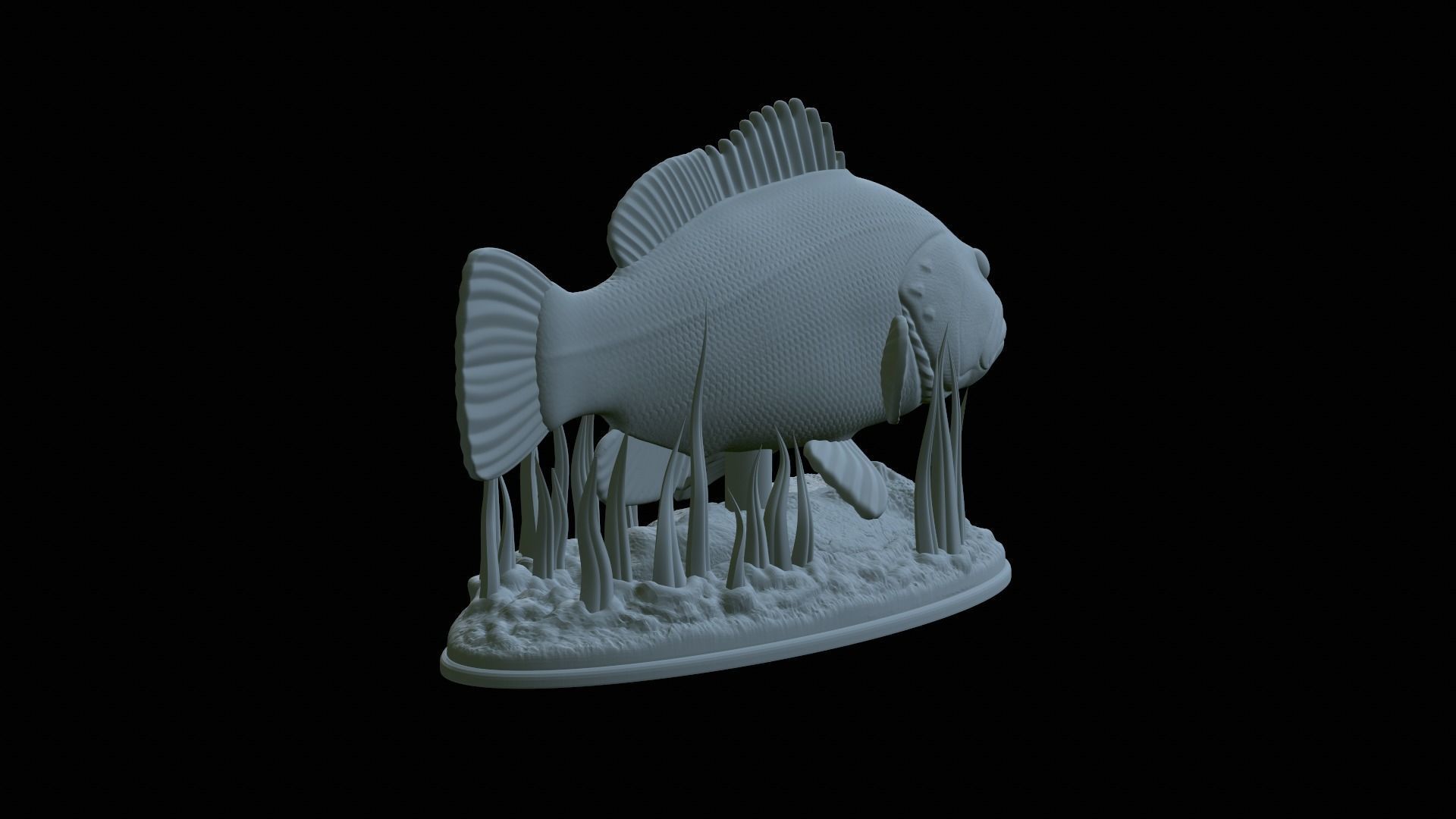 fish dusky grouper statue underwater detailed texture 3D print model_35