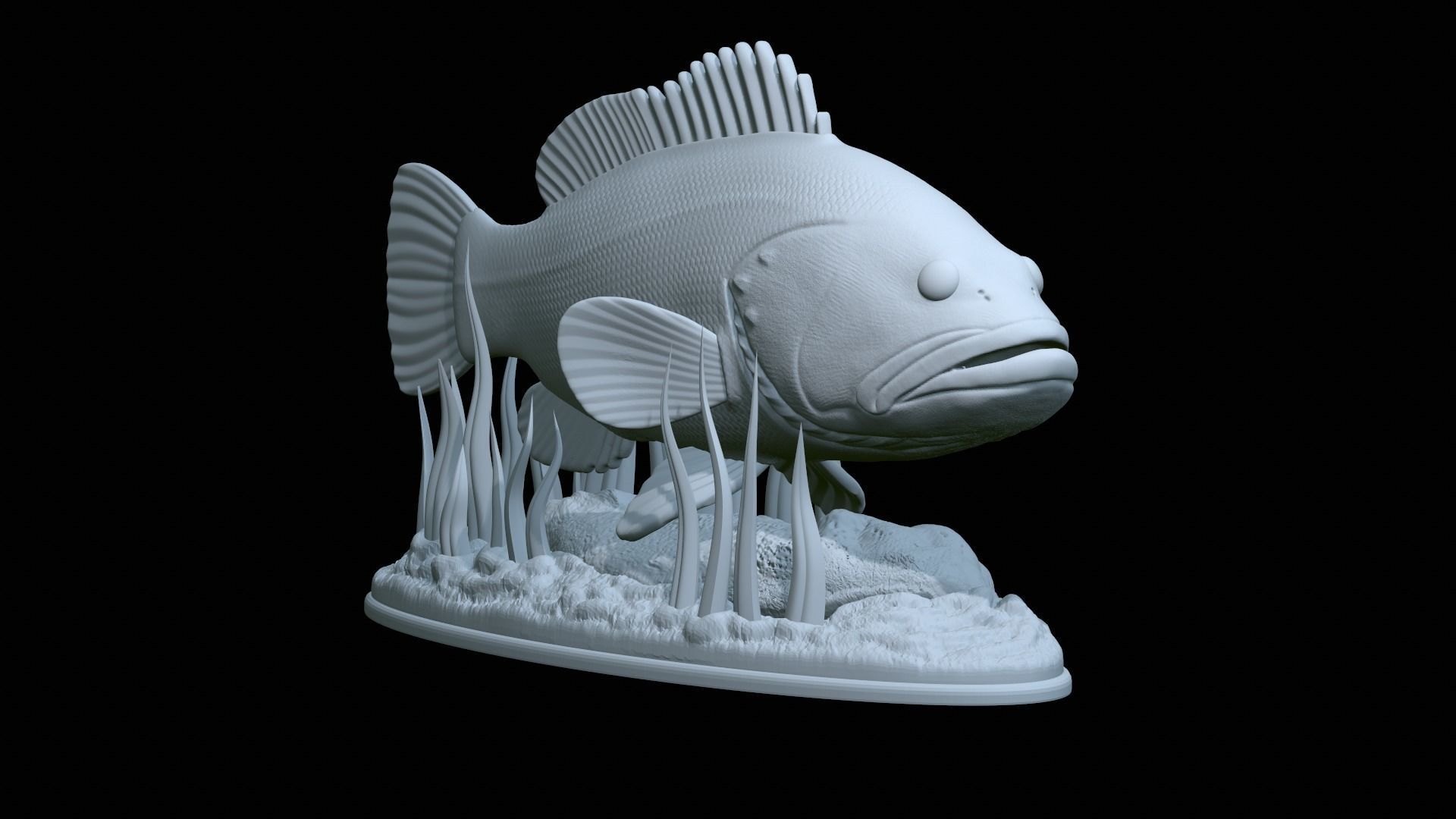 fish dusky grouper statue underwater detailed texture 3D print model_38