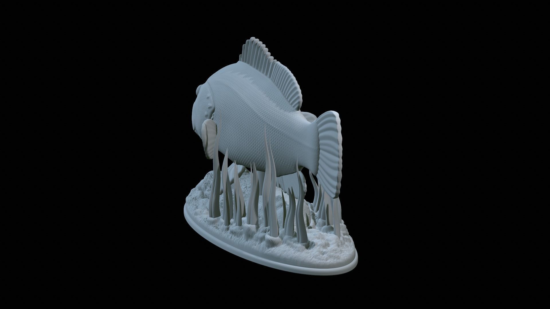 fish dusky grouper statue underwater detailed texture 3D print model_29